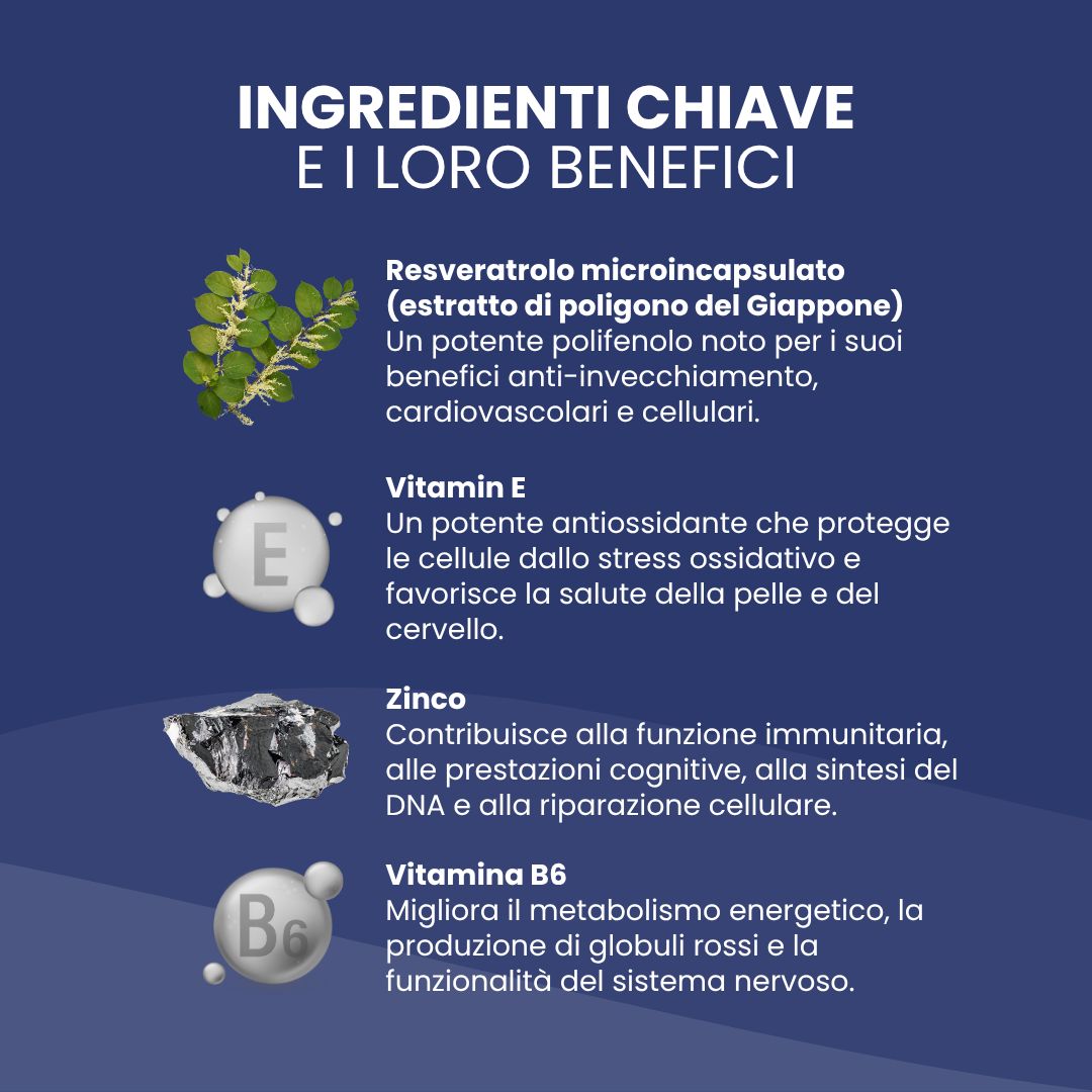 Grafico con ingredienti: Resveratrolo, vitamina E, zinco, vitamina B6. Testo: Ingredienti chiave e i loro benefici.