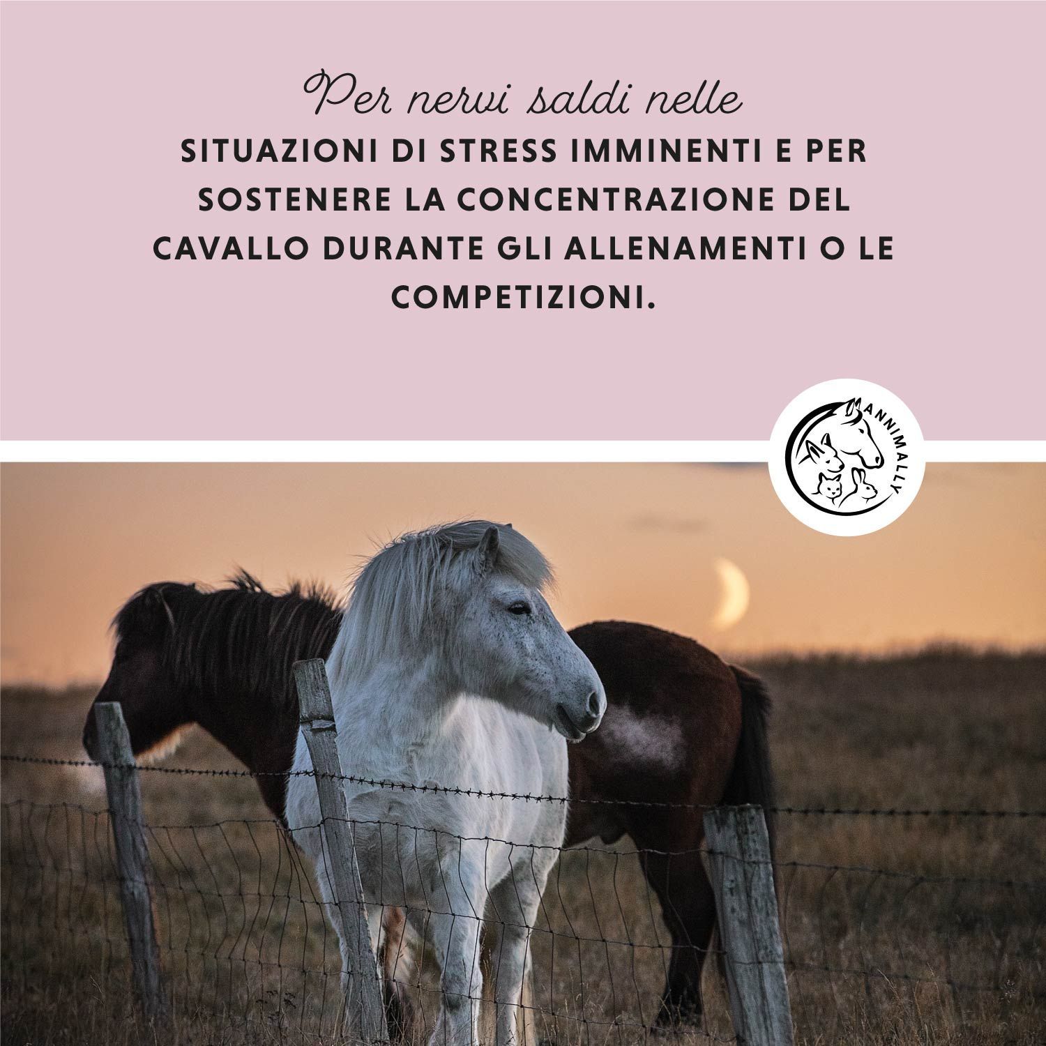 Due cavalli in un prato. Testo: Per i nervi in situazioni di stress. Logo: Annimally.