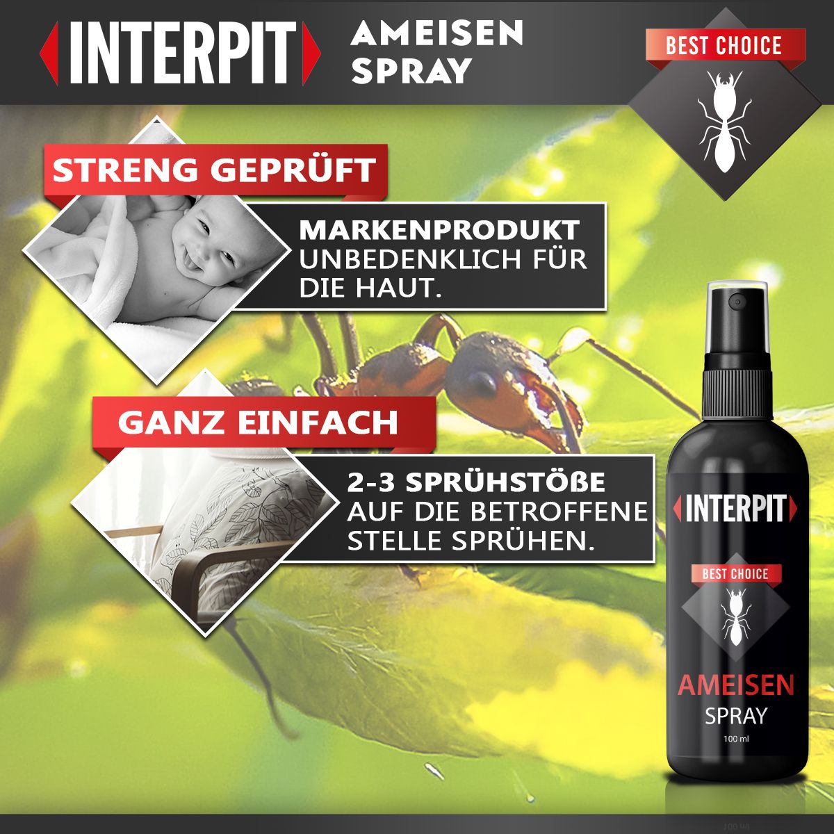 Interpit® Spray antiformiche
