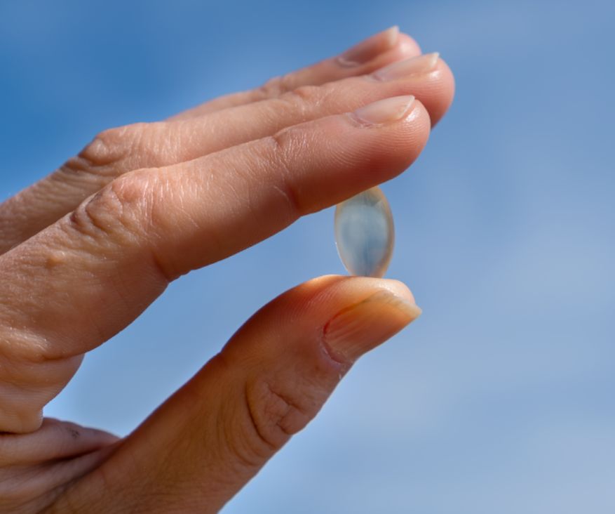 Mano che tiene una singola capsula Aavalabs Vegan Omega-3.