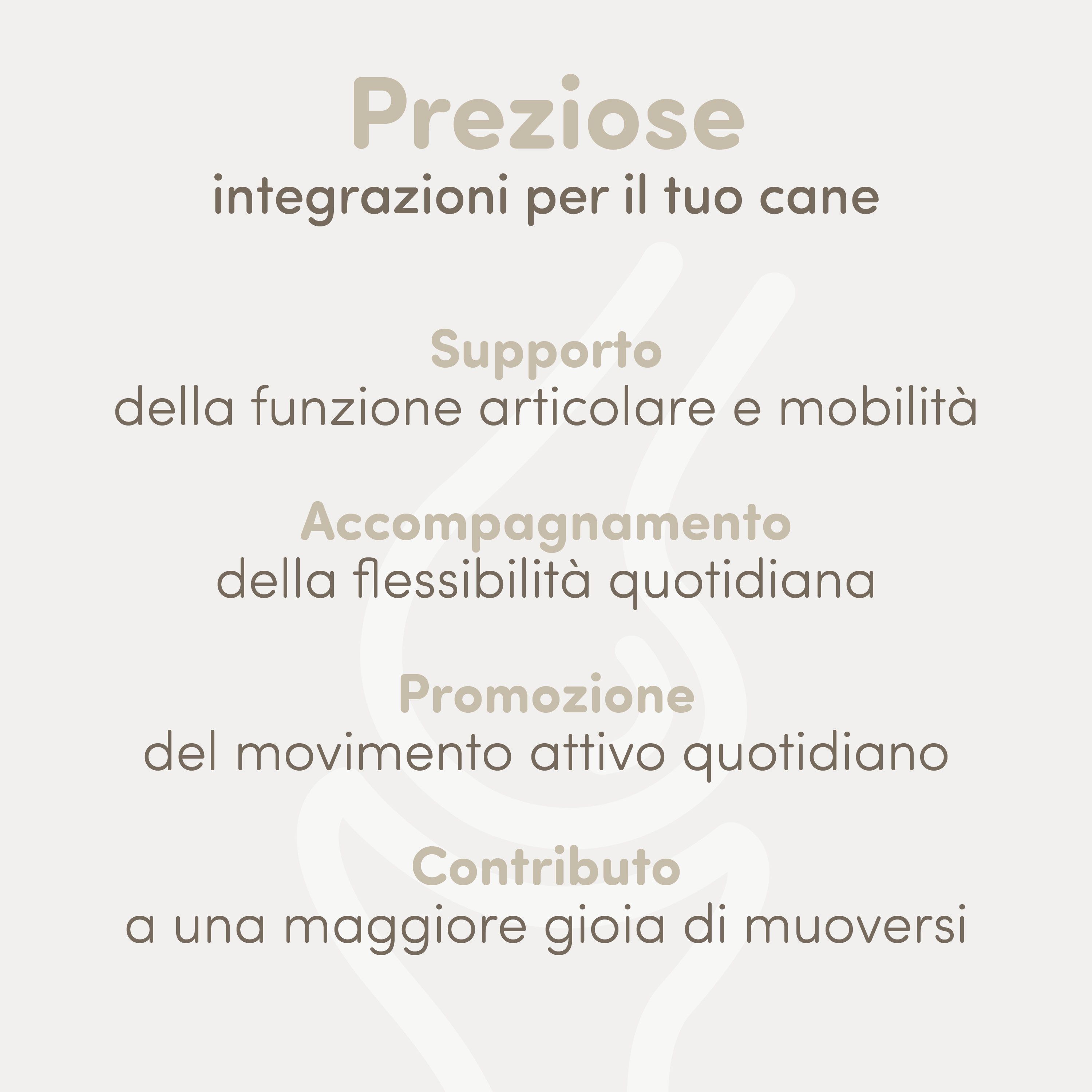 Testo su preziosi integratori per cani, a supporto di articolazioni, mobilità e gioia di muoversi.
