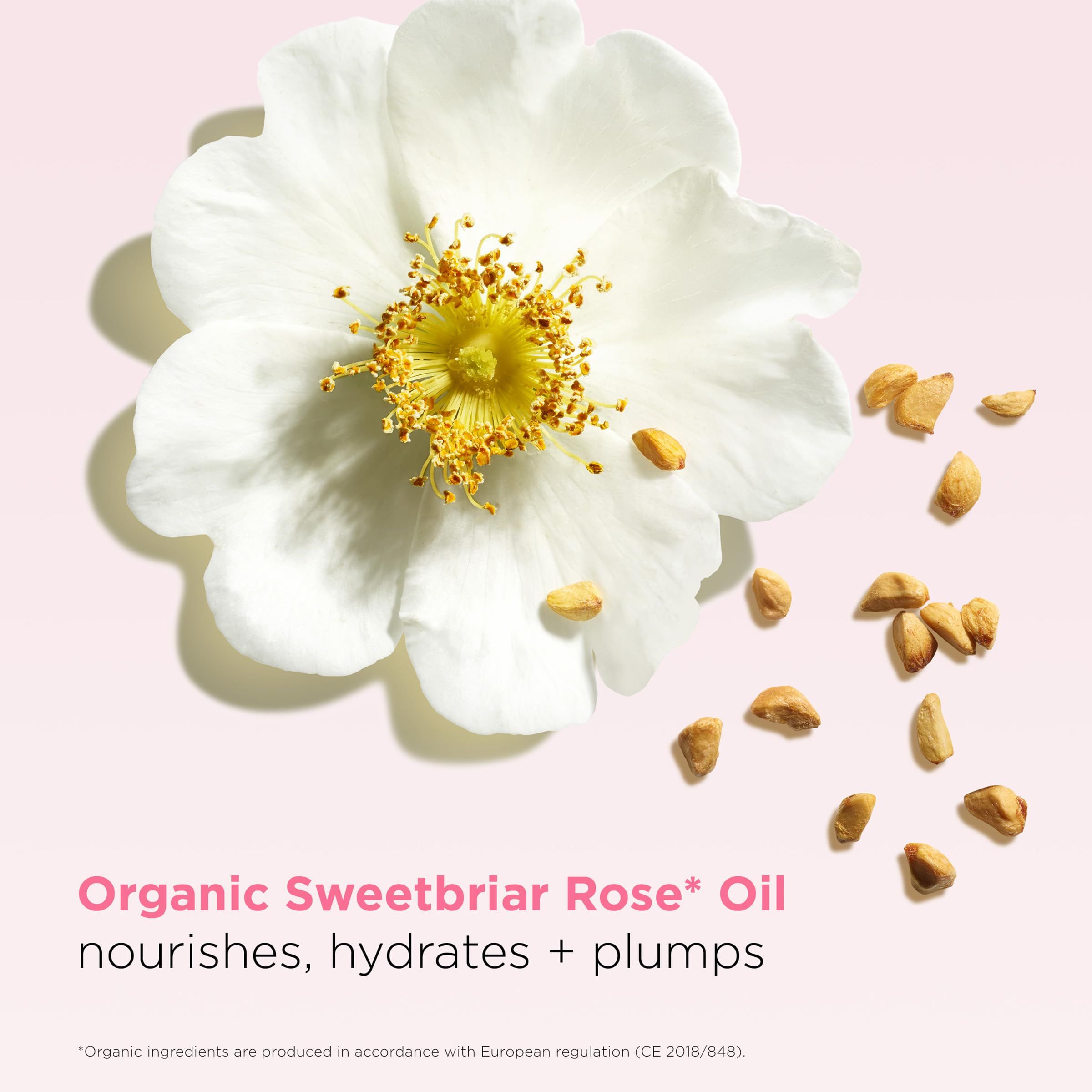 Primo piano di una rosa bianca e semi. Testo: Olio di rosa canina biologico, nutre, idrata + rimpolpa.