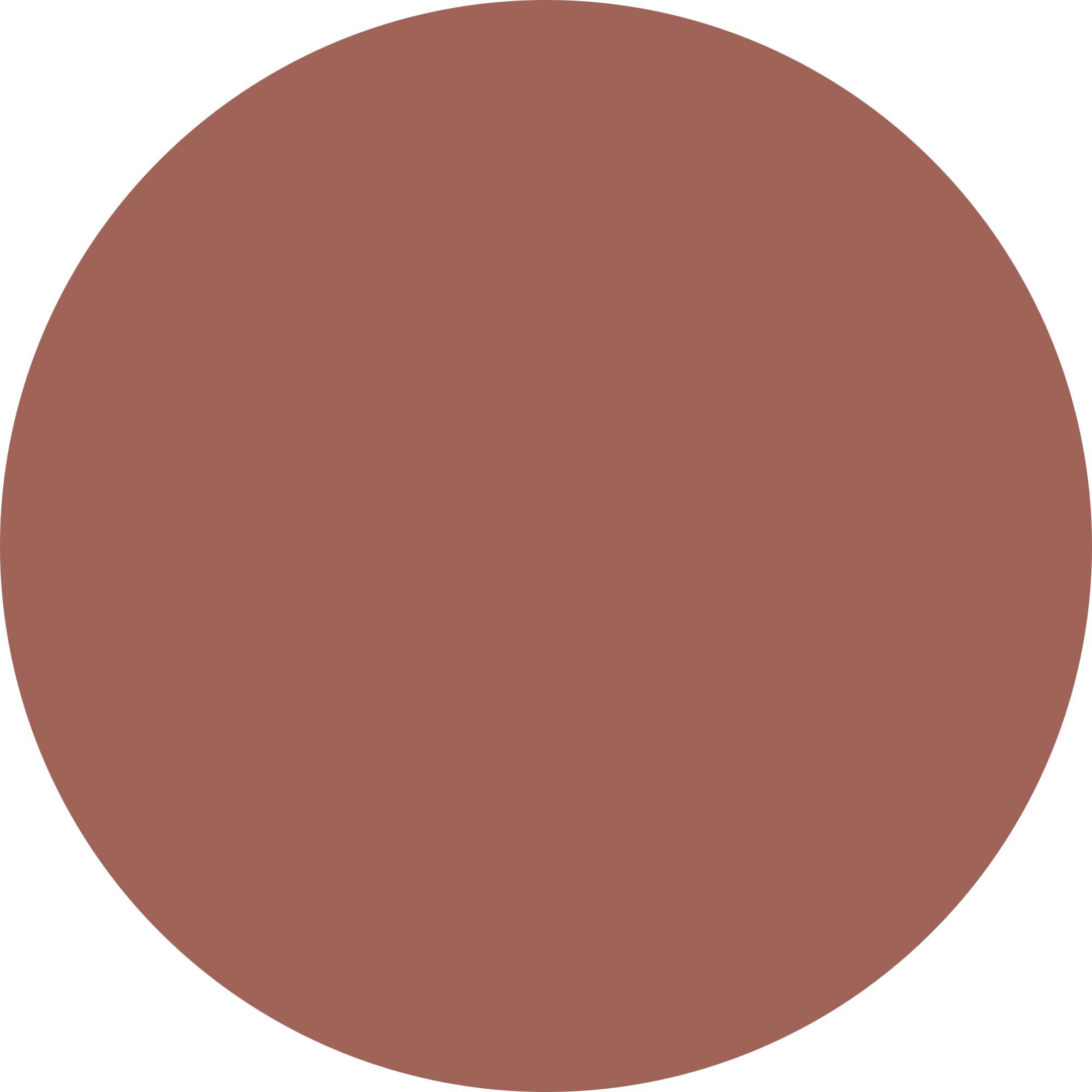 WYCON cosmetics let it matt - matt lipstick 01 xmas cookie