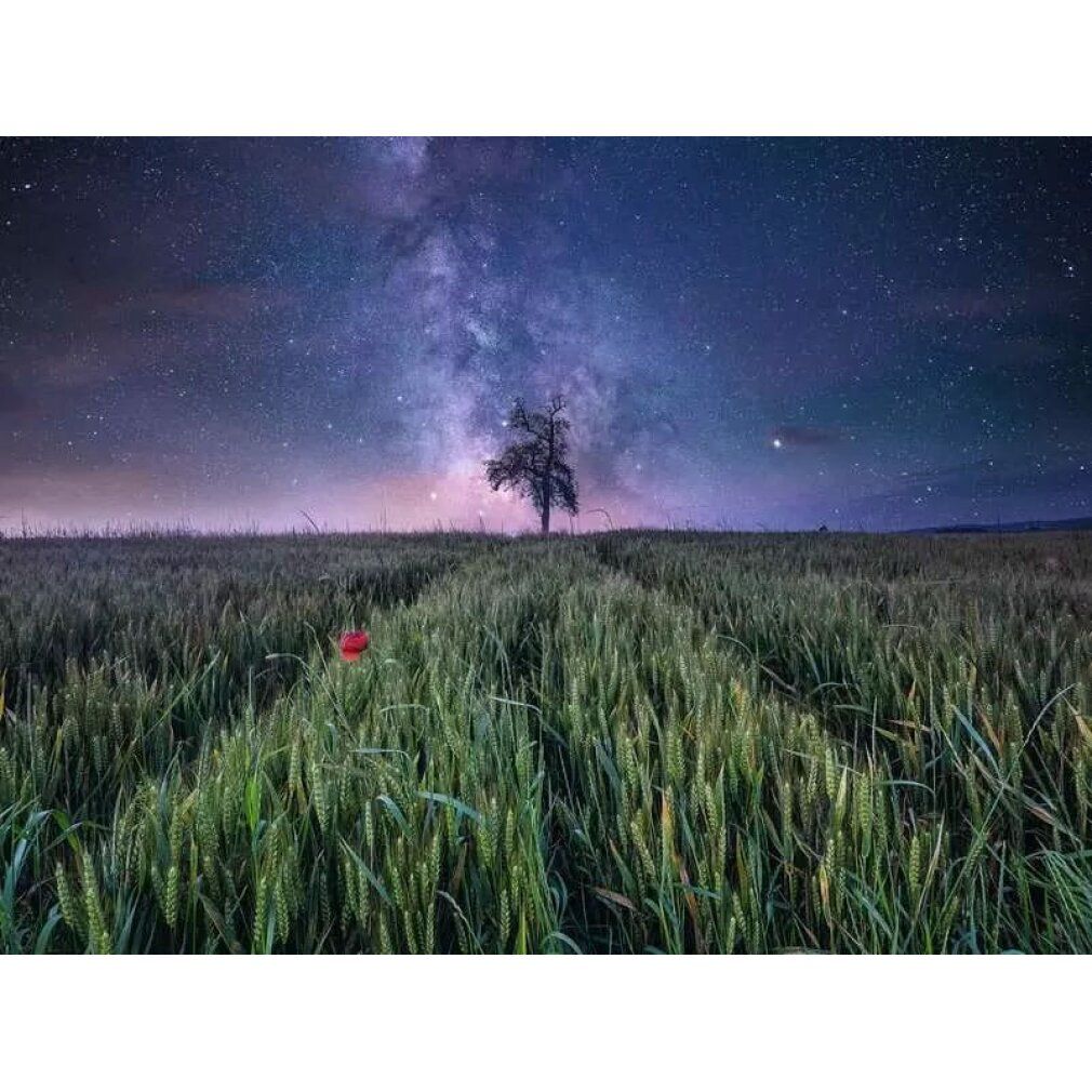 Power of Nature Puzzle Night Sky Over the Corn Field (1500 parti)