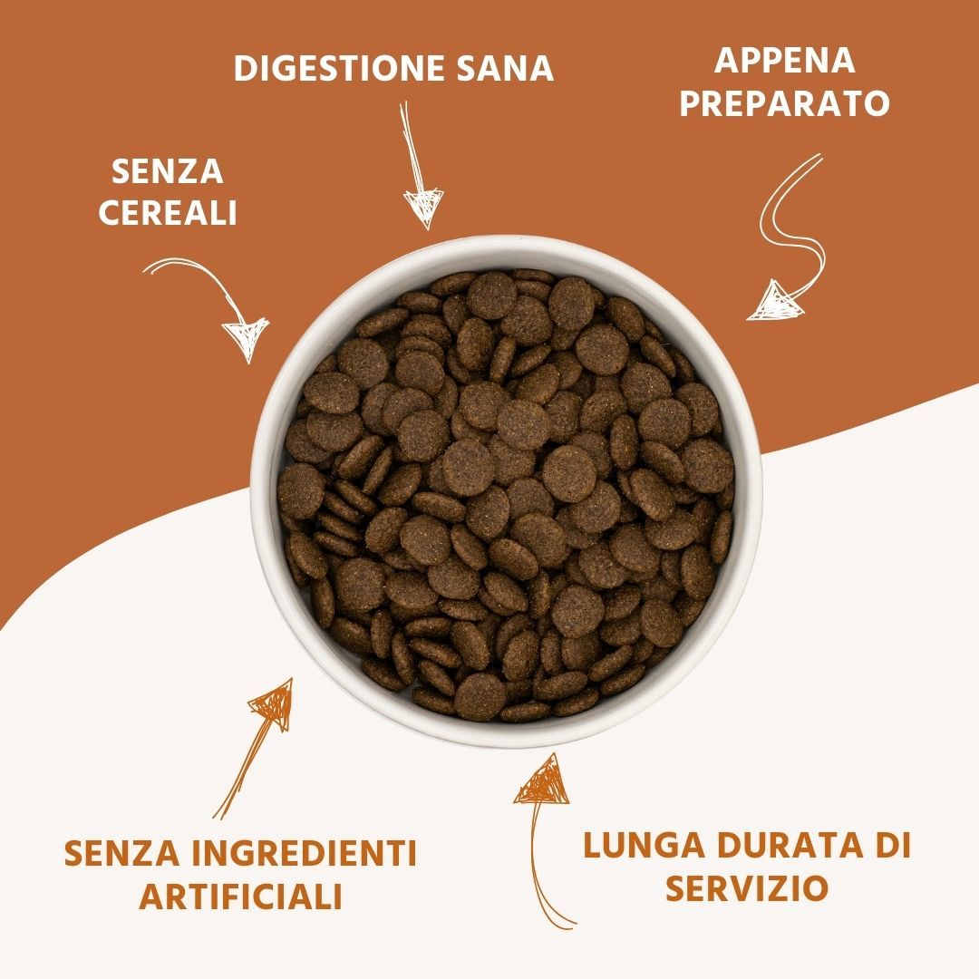 language Wildfang - Crocchette Junior con salmone per cuccioli - senza cereali