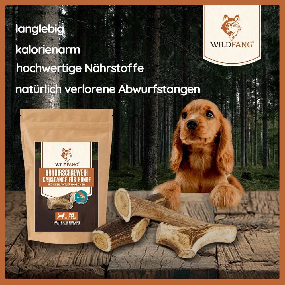 Sfondo foresta. Logo Wildfang. Sacchetto di carta marrone con masticabili per cani. Accanto: 3 giocattoli da masticare in corna di cervo. Testo: duraturo, ipocalorico, nutrienti di alta qualità.