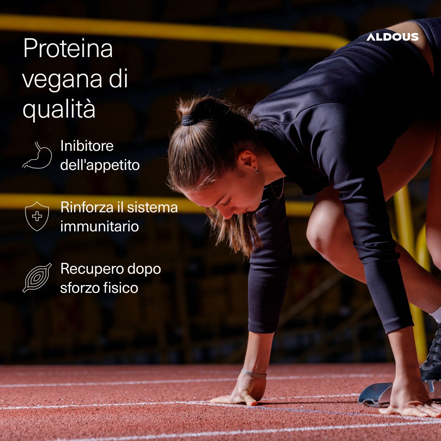 Aldous - Spirulina Bio - Depurativo