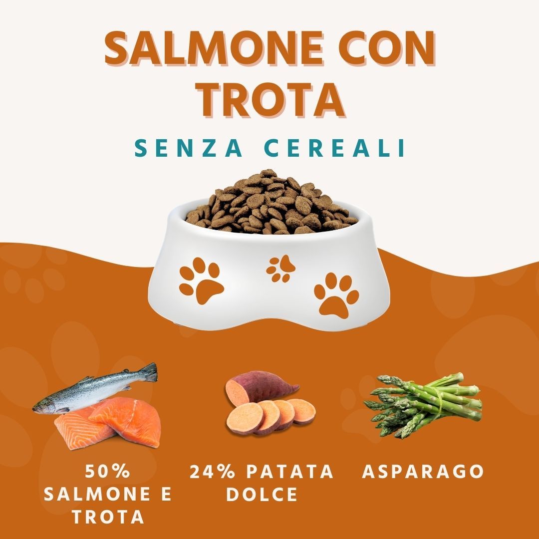 Cibo per cani in ciotola. Ingredienti: salmone, trota, patata dolce, asparagi. Testo: Senza cereali.