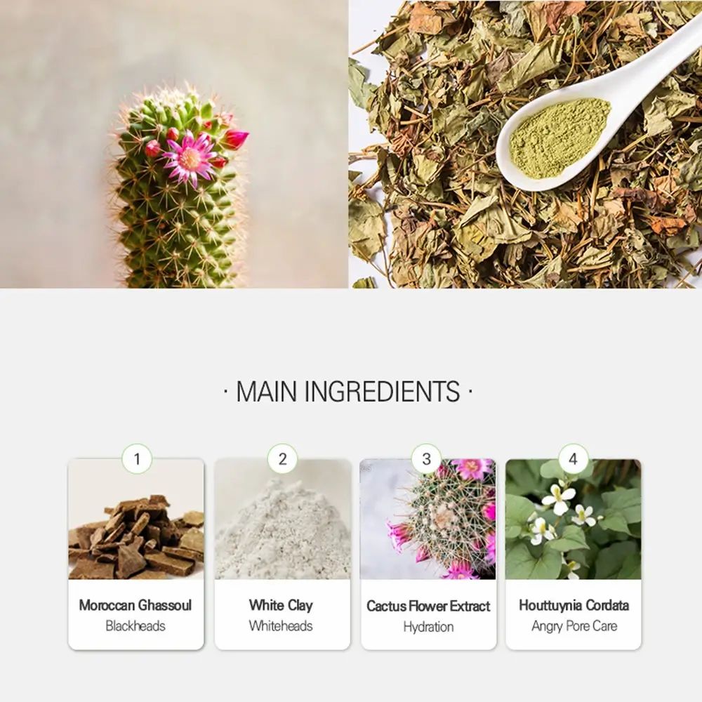 Panoramica degli ingredienti: estratto di fiori di cactus, argilla ghassoul, argilla bianca e Houttuynia Cordata.