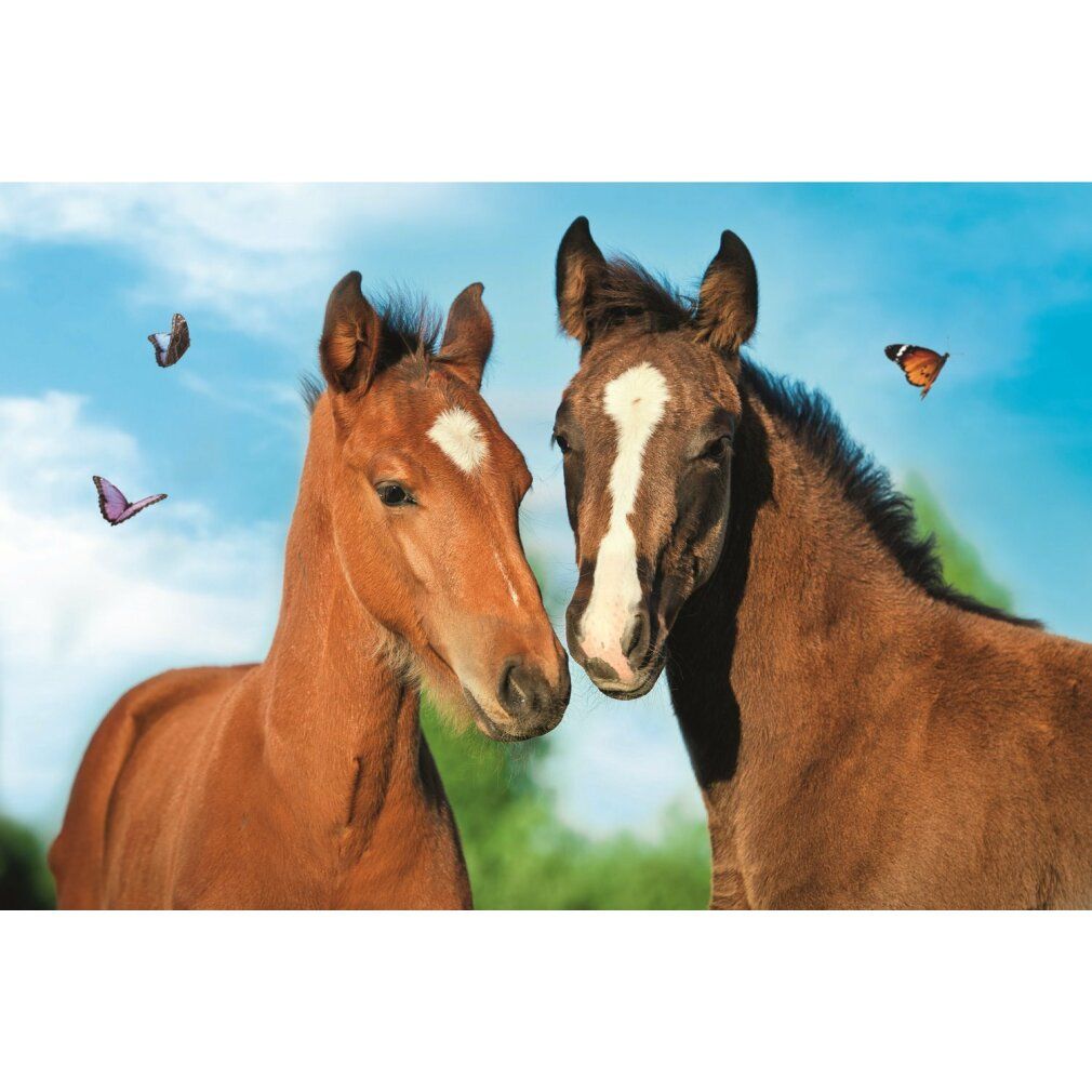Puzzle trefl Animali carini: Coppia di cavalli 54 pezzi