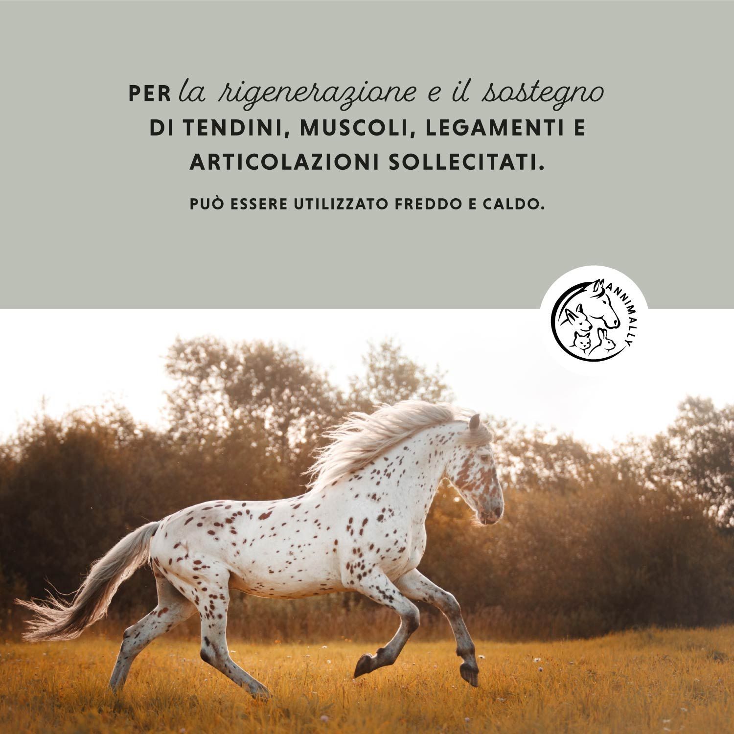 Cavallo bianco che corre in un campo. Testo: Per la rigenerazione e il sostegno di tendini, muscoli, legamenti e articolazioni sollecitati. Logo: cavallo e animale.