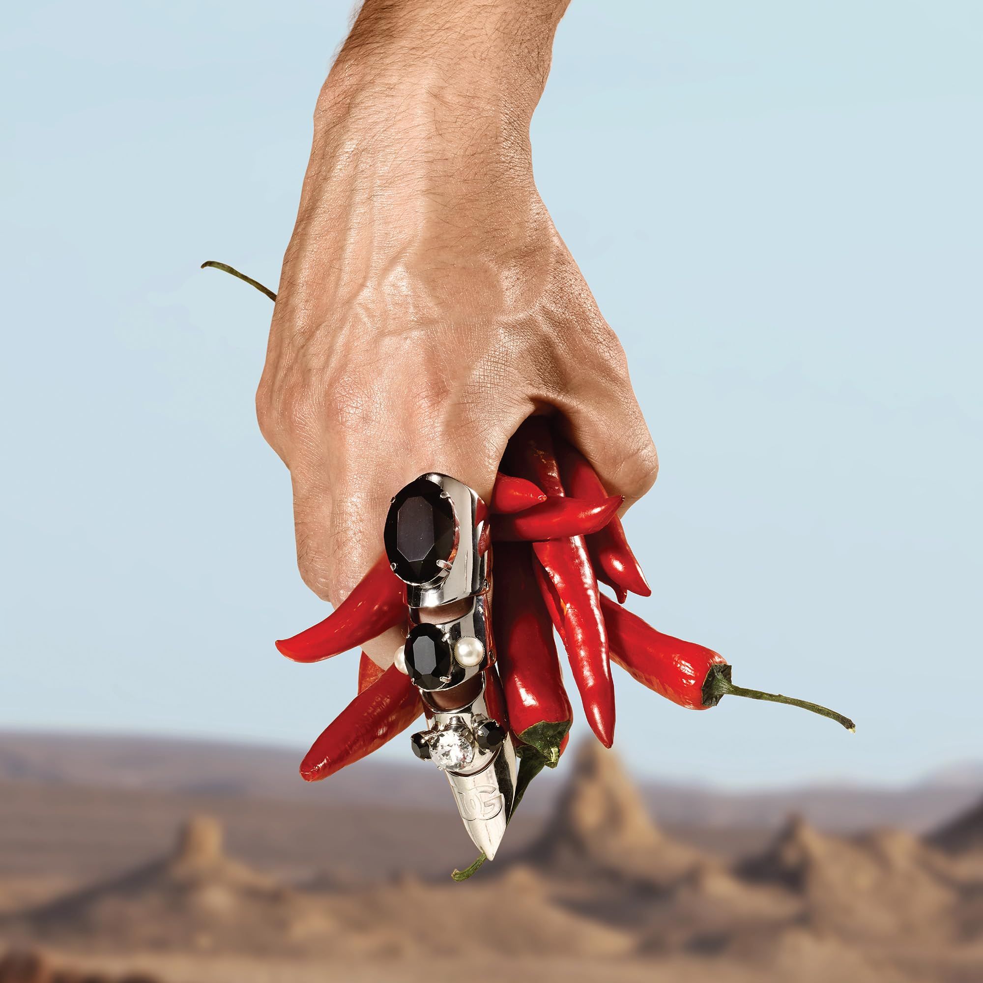 Mano che tiene peperoncini rossi e un oggetto d'argento con pietre nere. Sfondo: paesaggio desertico.