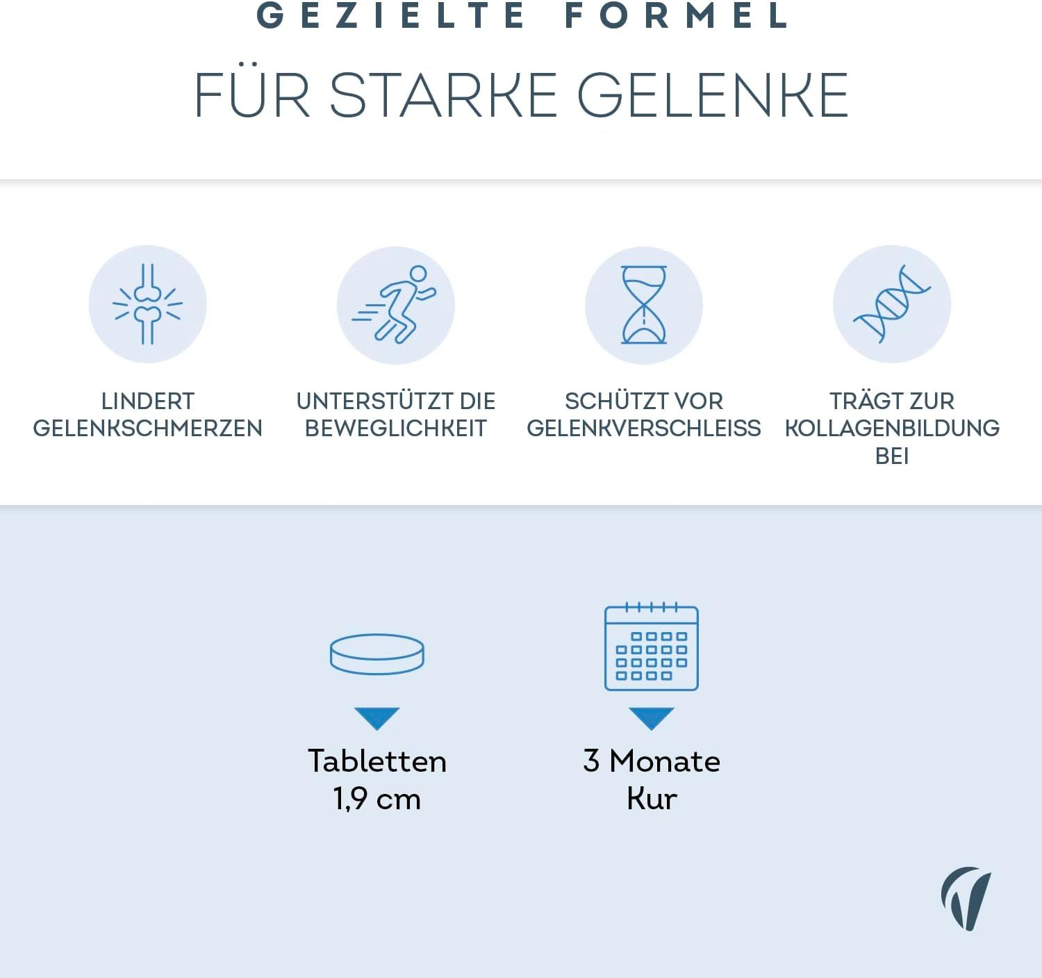Grafico con simboli. Allevia i dolori articolari, supporta la mobilità, protegge dall'usura articolare, favorisce il collagene.