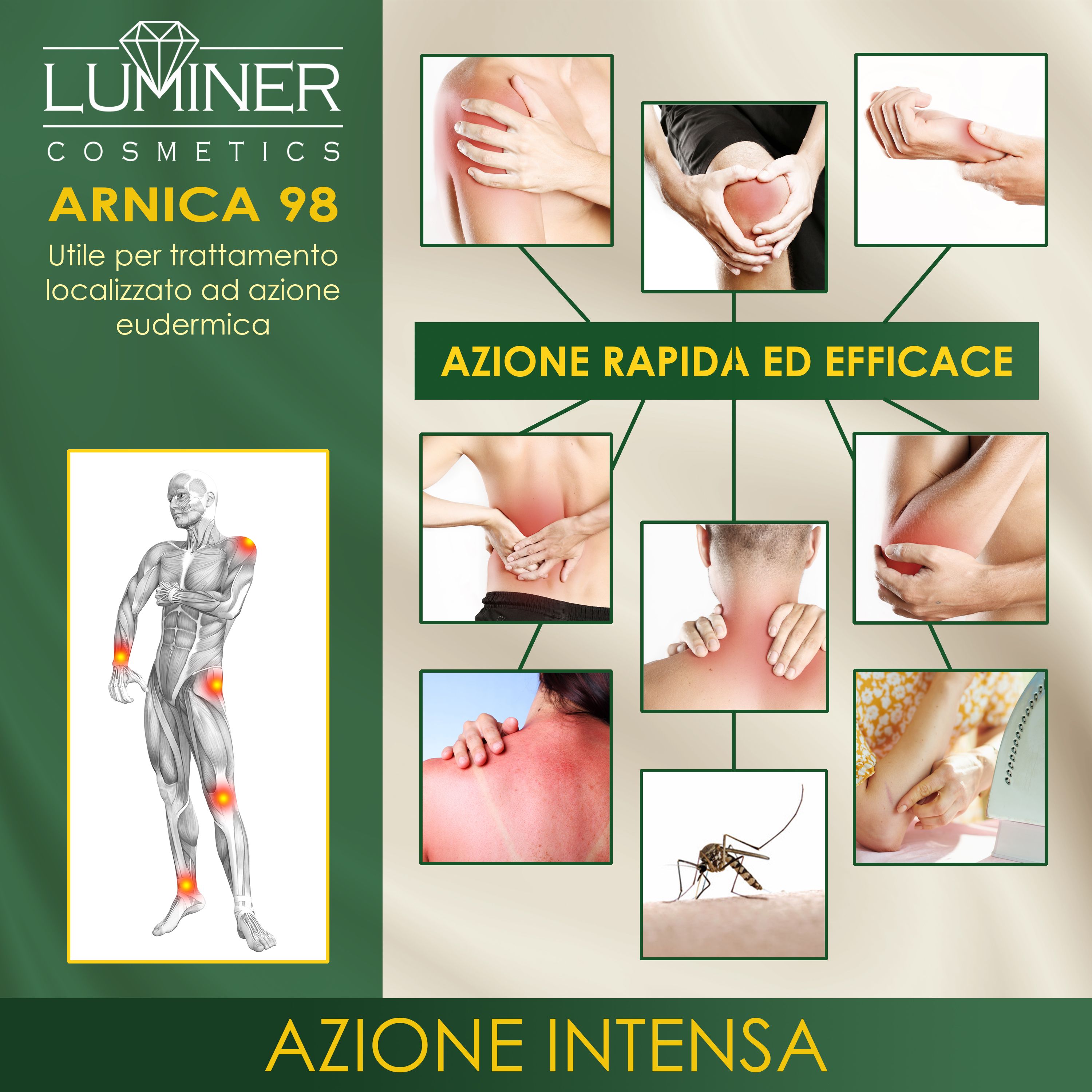 Schema che mostra le aree di applicazione della crema Arnica 98 per dolori articolari.