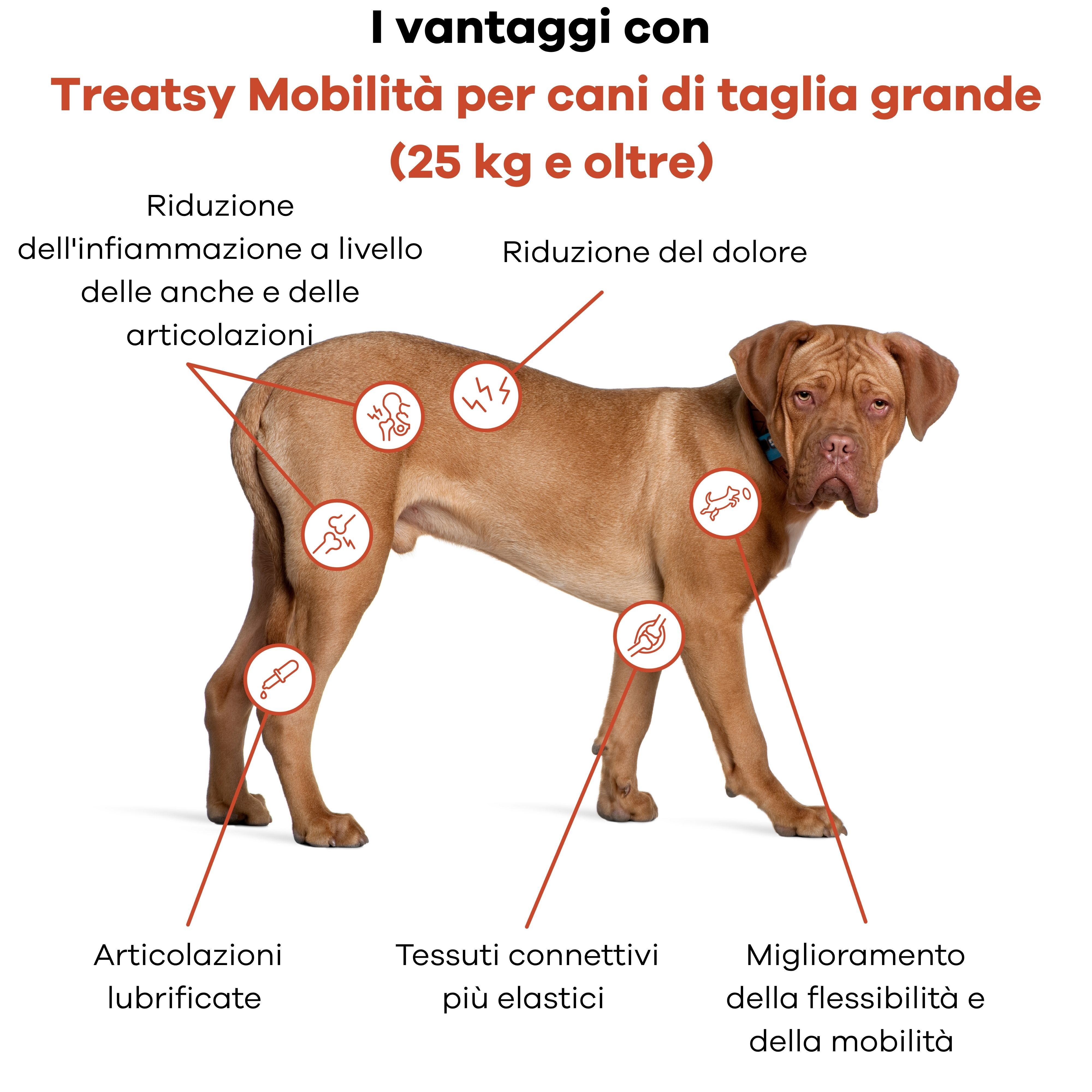 Treatsy Integratore Alimentare – Mobilità per cani di taglia grande (+25kg)