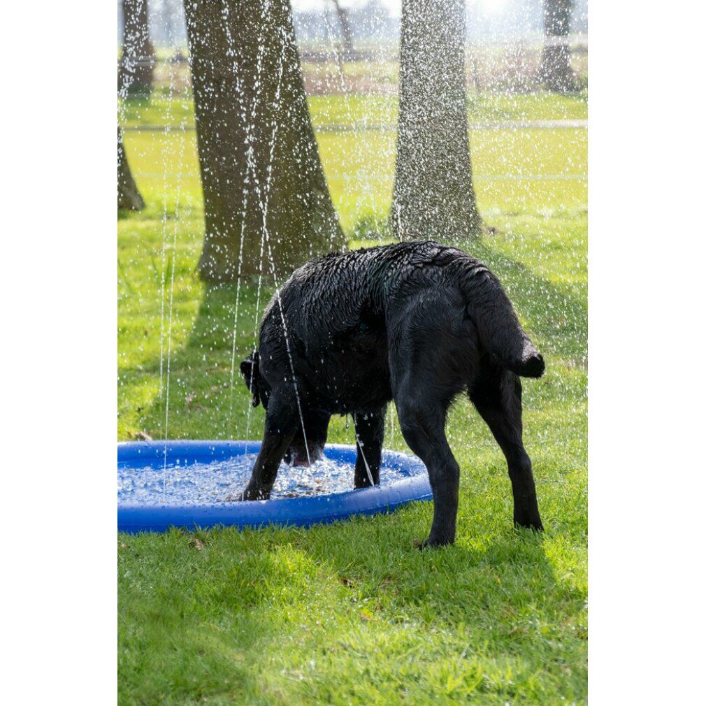 Piscina rotonda blu con getti d'acqua. Un cane nero è nella piscina e beve acqua. Alberi ed erba sullo sfondo.