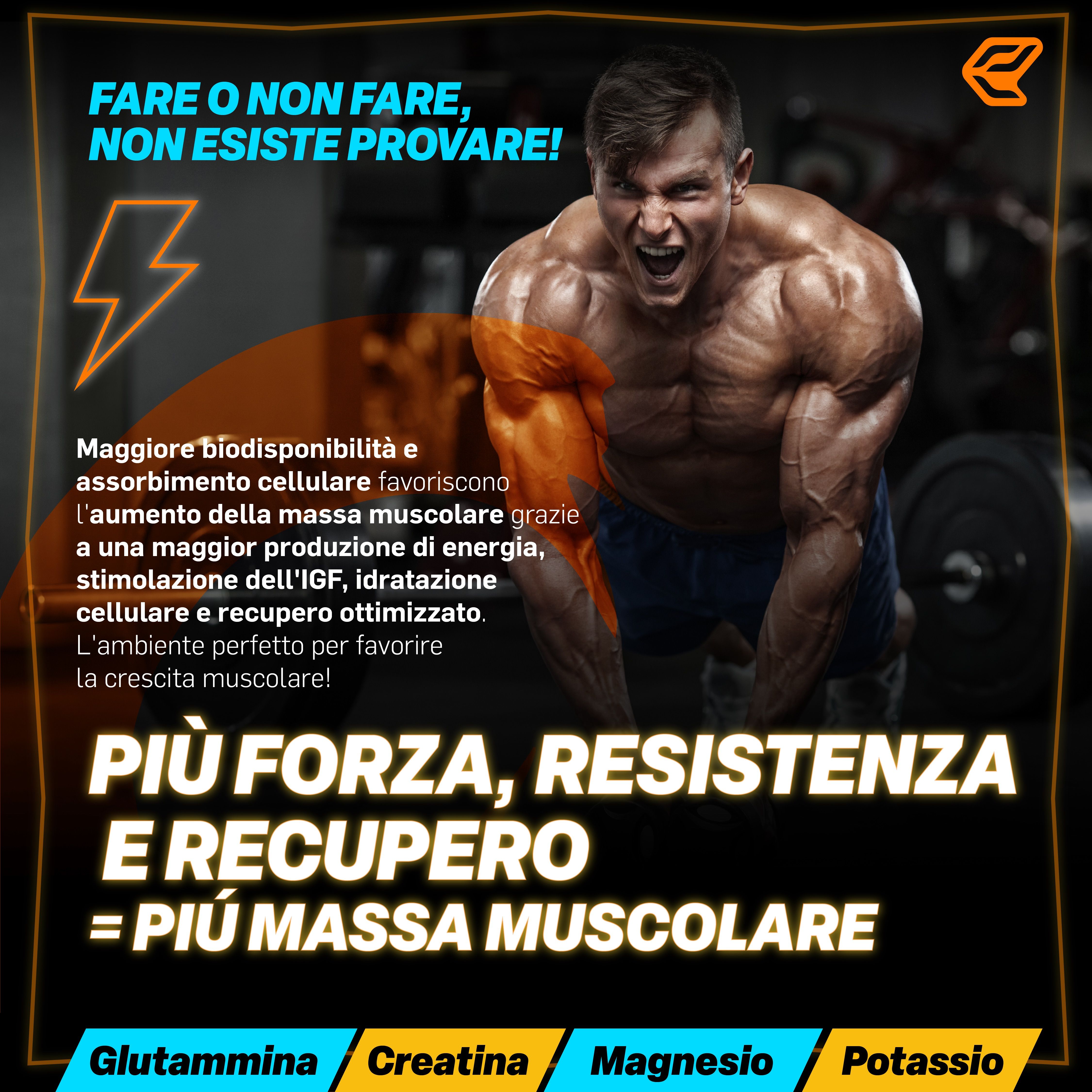 Immagine pubblicitaria con uomo muscoloso. Testo: Più Forza, Resistenza e Recupero = Più Massa Muscolare. Contiene glutammina, creatina, magnesio, potassio.