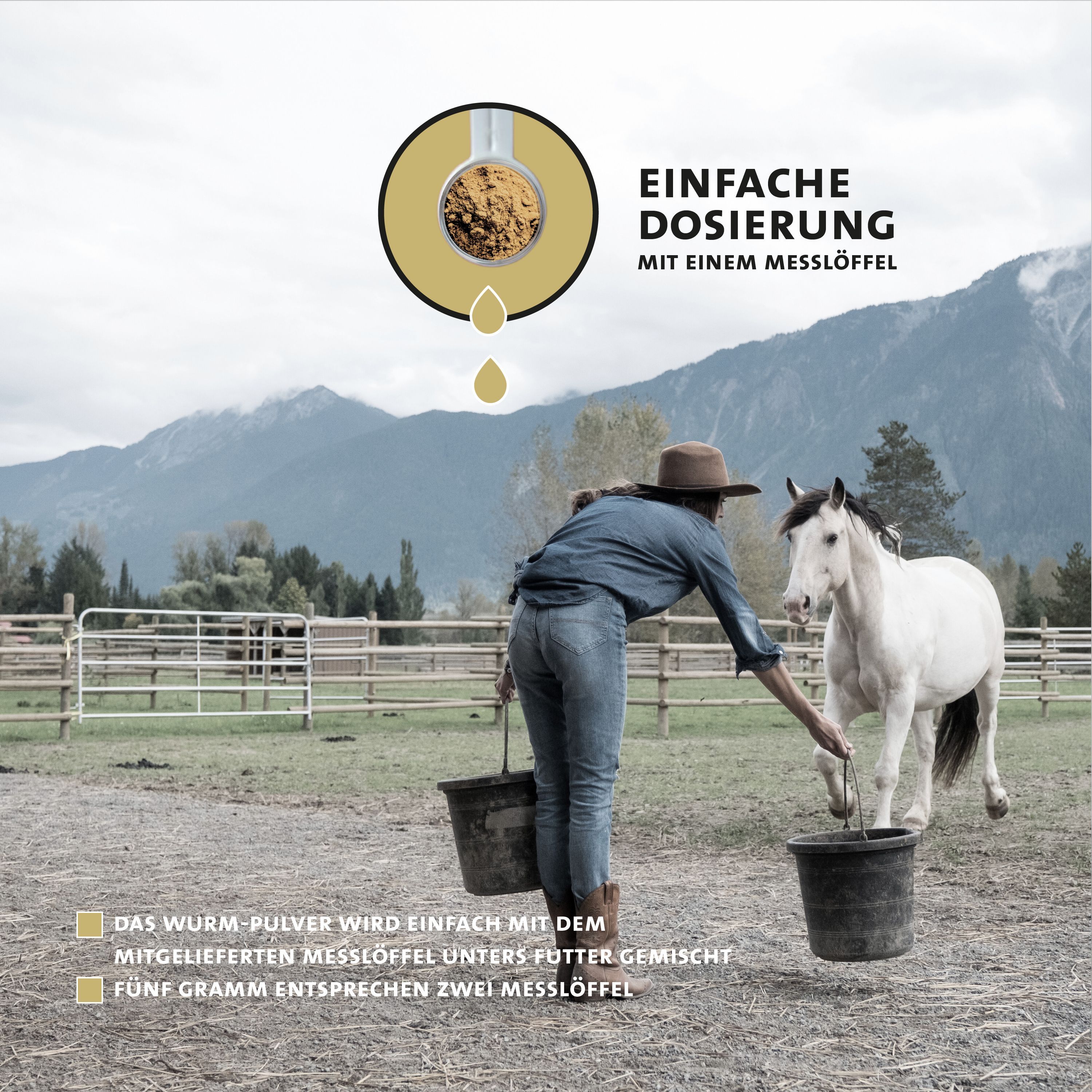 Cavallo viene nutrito con mangime in polvere, dosaggio facile con misurino.