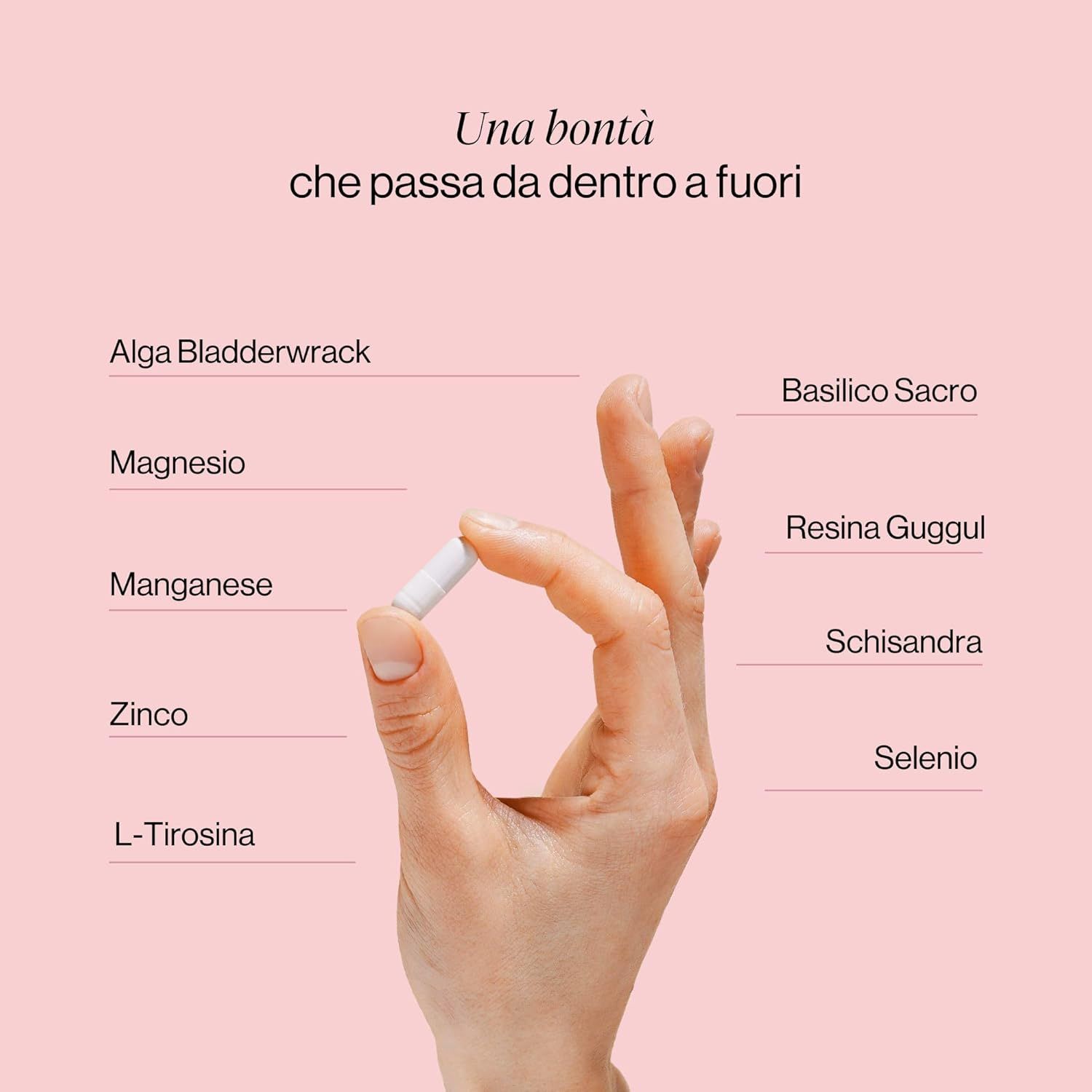 Mano che tiene una capsula. Ingredienti: Alga Bladderwrack, magnesio, manganese, zinco, L-tirosina, basilico sacro, guggul, schisandra, selenio.