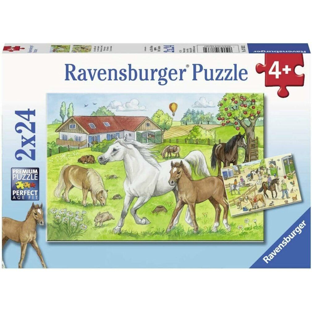Puzzle stabile ravensburger 2x24 pezzi
