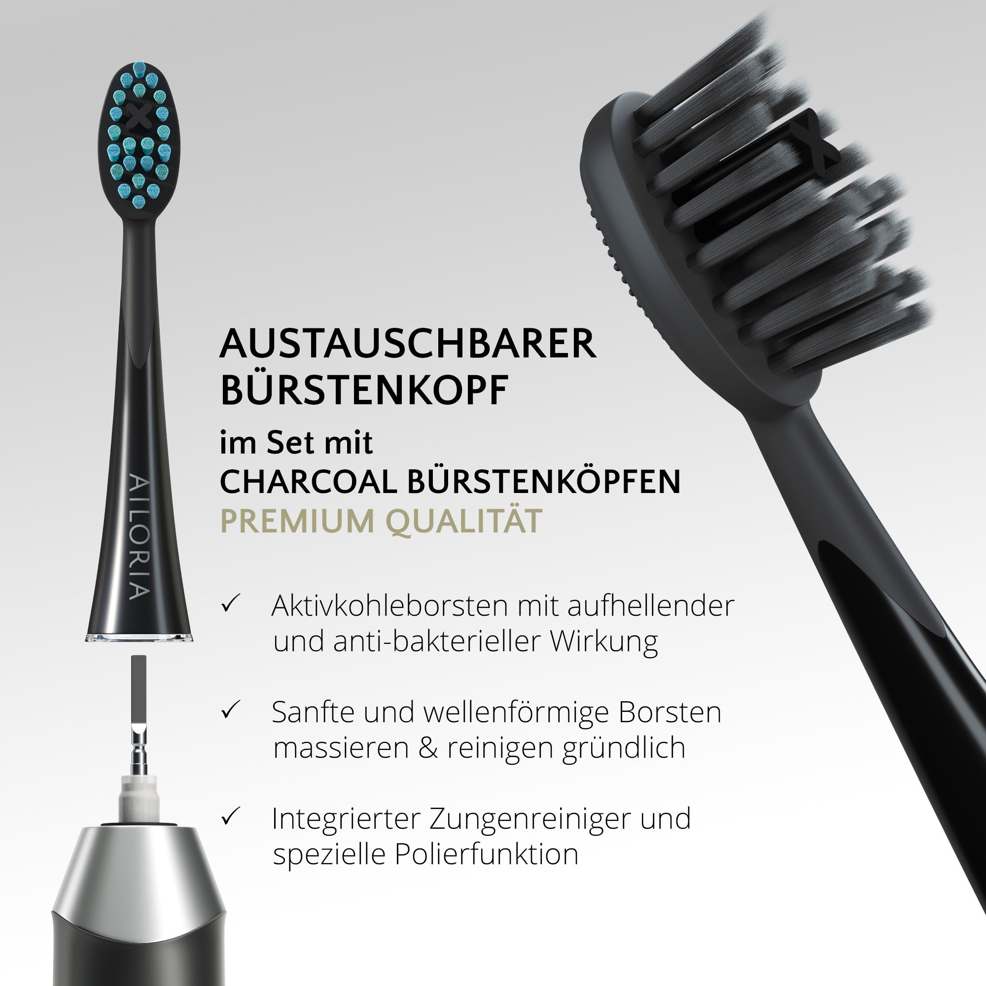 Primo piano della testina. Testo: Testina sostituibile con testine al carbone. Qualità premium.