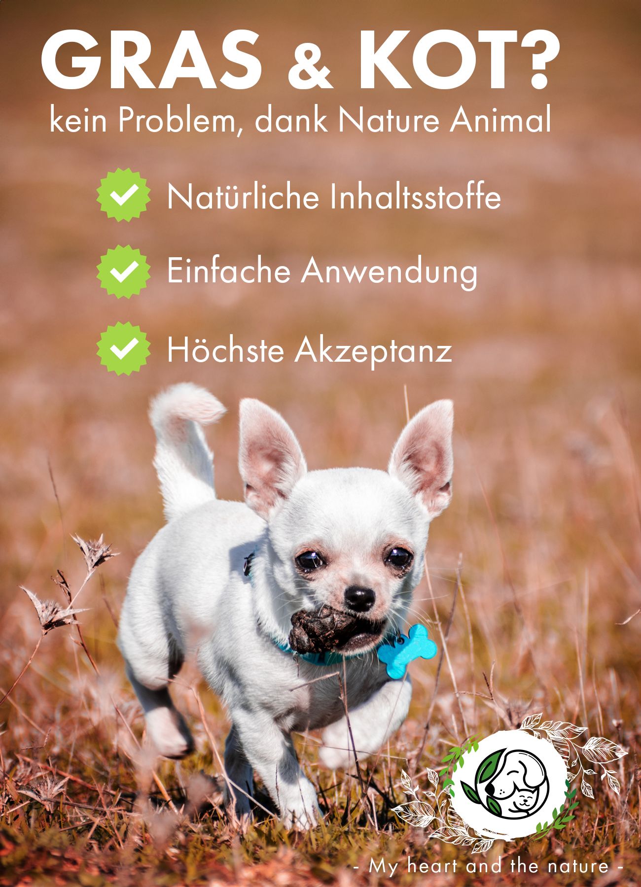 Immagine pubblicitaria con cane. Testo: "GRAS & KOT? kein Problem, dank Nature Animal". Logo Nature Animal.