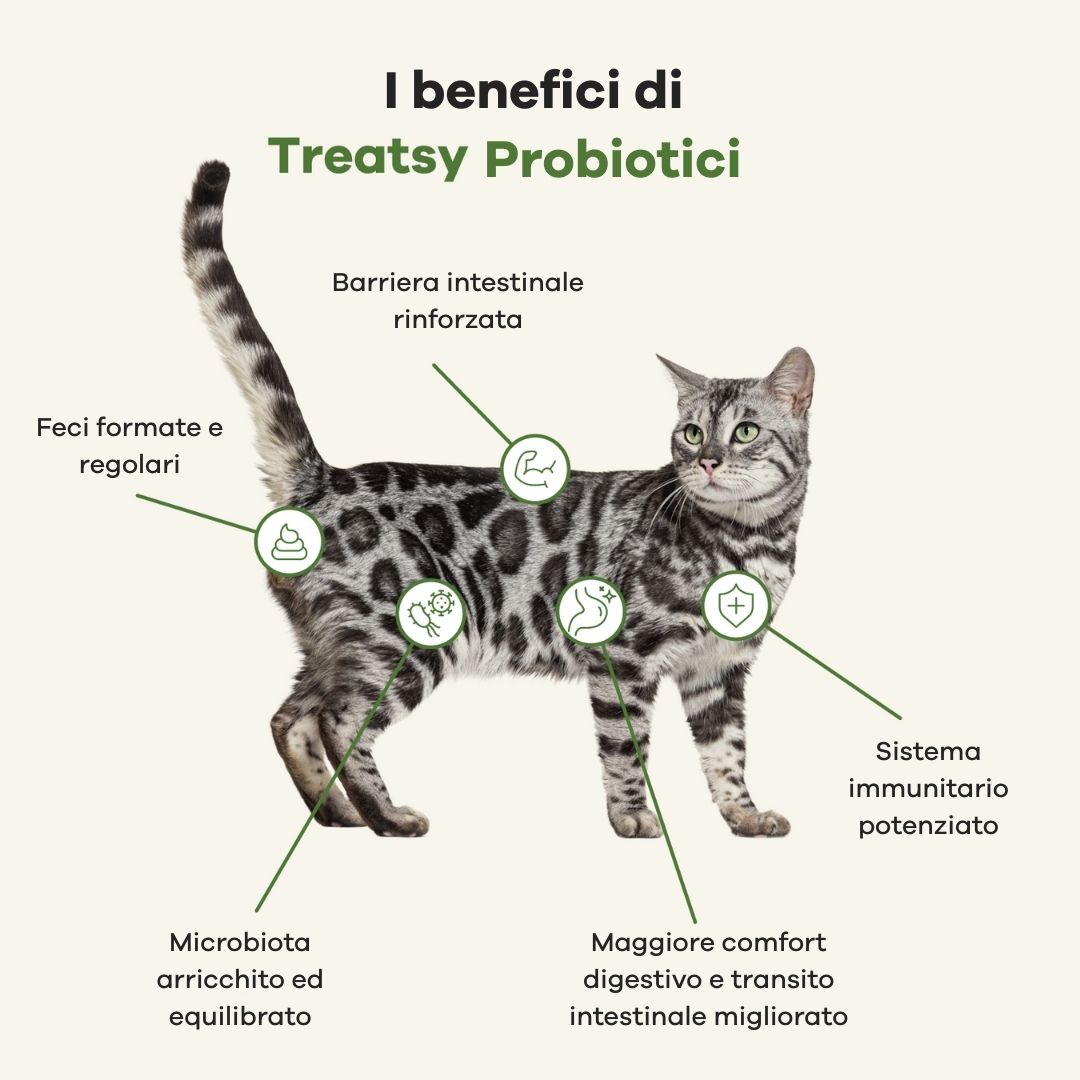 Gatto con illustrazioni dei benefici di Treatsy Probiotici: intestino, sistema immunitario, ecc.