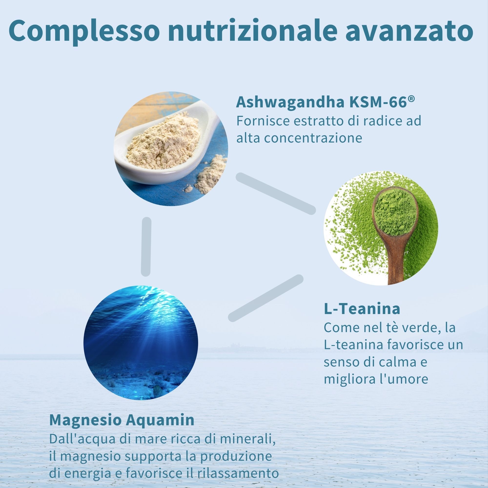 Grafico con Ashwagandha, L-Teanina e Magnesio. Testo: Ashwagandha KSM-66, L-Teanina, Magnesio Aquamin. Sfondo: acqua.