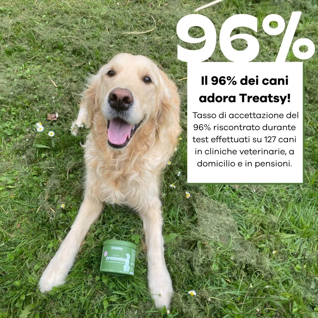 Un cane sull'erba. Testo: Il 96% dei cani adora Treatsy!