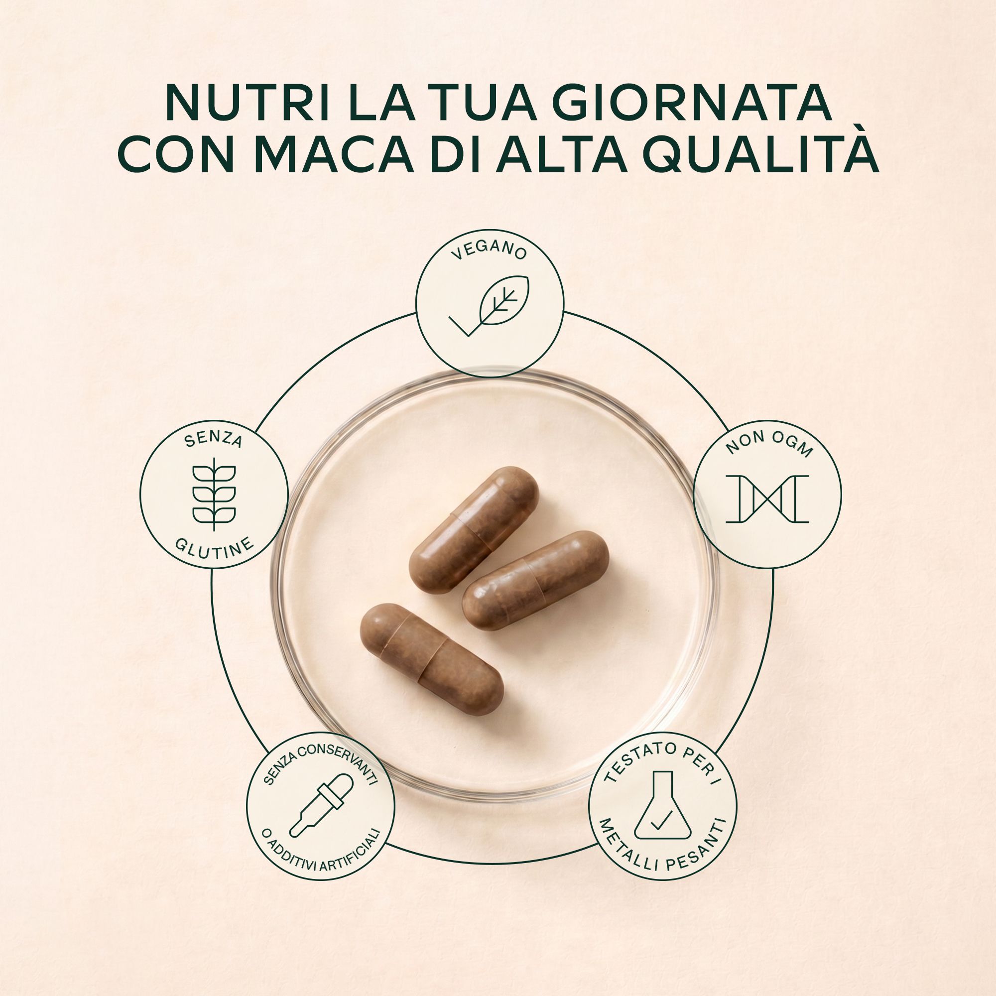 Flacone di capsule di Maca, testo spagnolo su tabella nutrizionale e ingredienti.