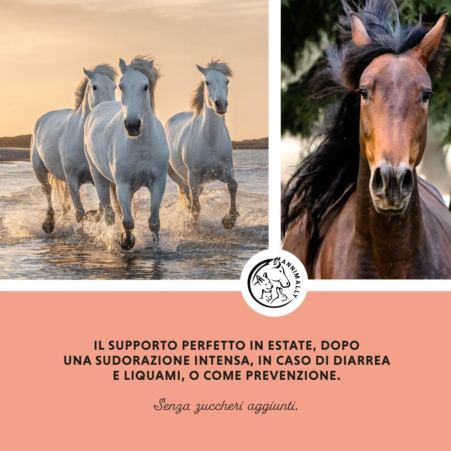 Tre cavalli bianchi nell'acqua. Cavallo marrone. Testo: Supporto perfetto in estate, dopo intensa sudorazione, in caso di diarrea. Senza zuccheri aggiunti.