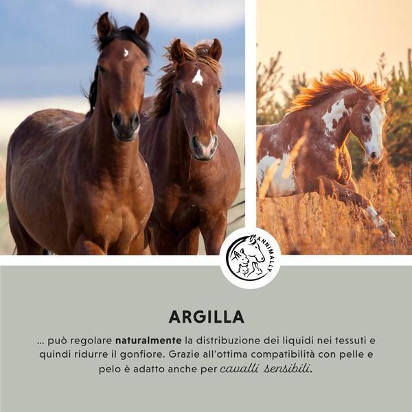 Due cavalli in un prato. Logo: cavallo e animale. Testo: Argilla. Testo: ...può regolare la distribuzione dei liquidi nei tessuti e ridurre il gonfiore.