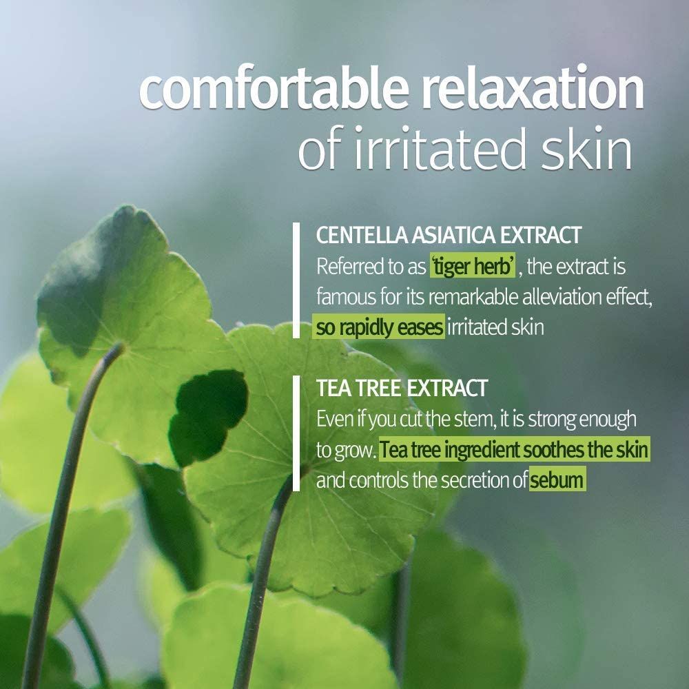 Testo sull'estratto di Centella Asiatica e Tea Tree. Immagini di foglie.