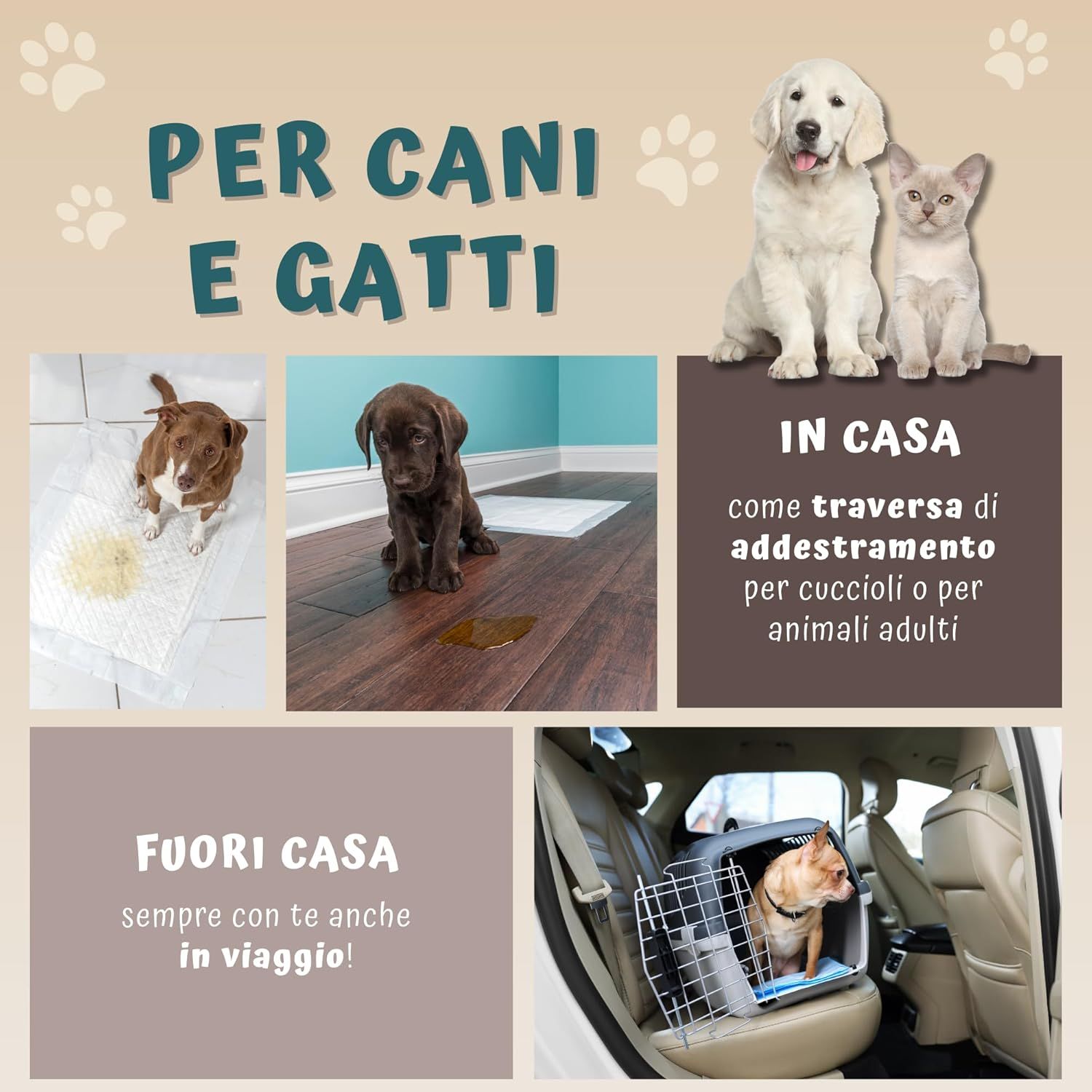 Esempi di utilizzo dei tappetini per cani: a casa e in viaggio. Cani e gatti in diverse situazioni.