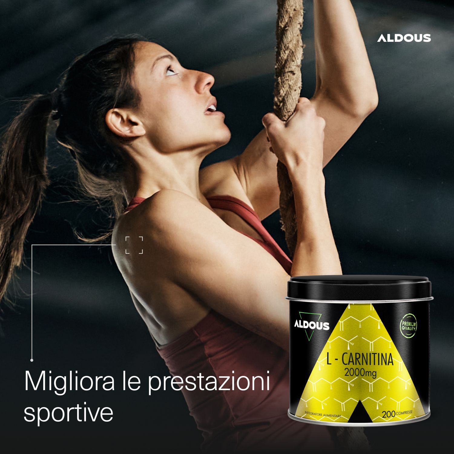 Aldous - L Carnitina - Energia, Recupero