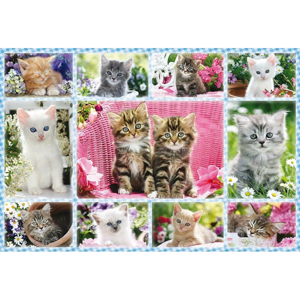 Puzzle con gattini, 100 pezzi. Immagini di gatti su sfondo blu. Marchio Schmidt Puzzle.