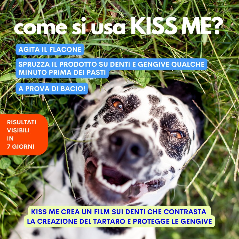 Cane dalmata sorridente nell'erba. Testo: "Come si usa KISS ME?". "Risultati visibili in 7 giorni".