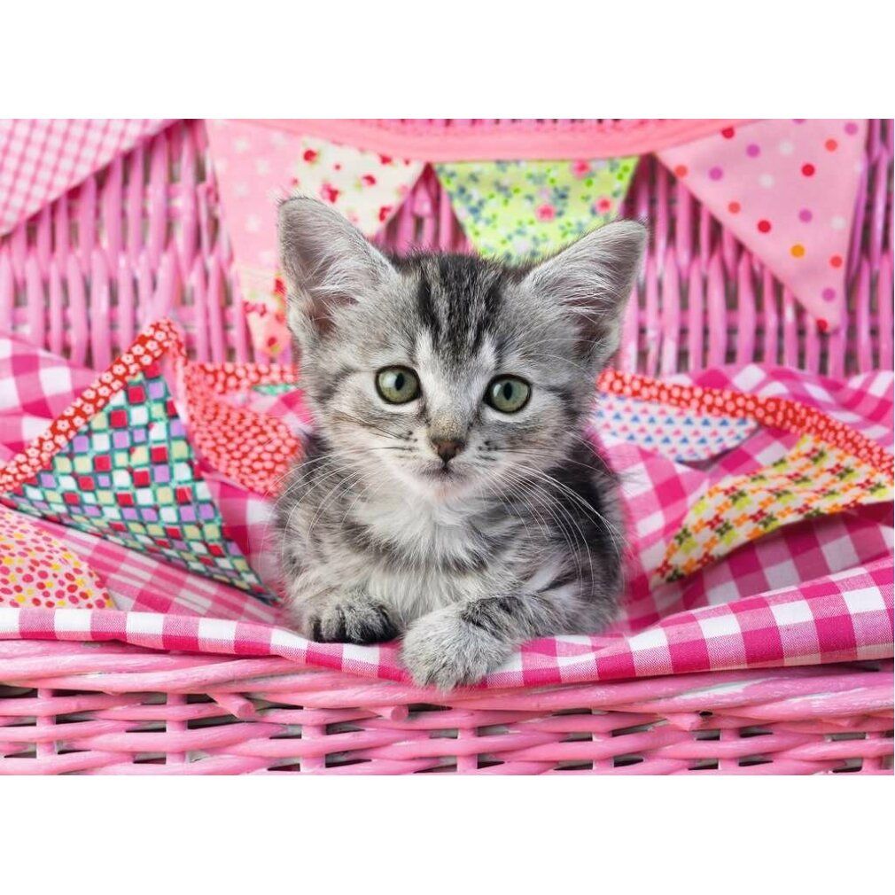 Gattino in cesto rosa con tessuti e ghirlanda. Pelliccia grigia, occhi verdi. Coperta rosa a quadri. Cesto rosa con tessuti e ghirlanda.