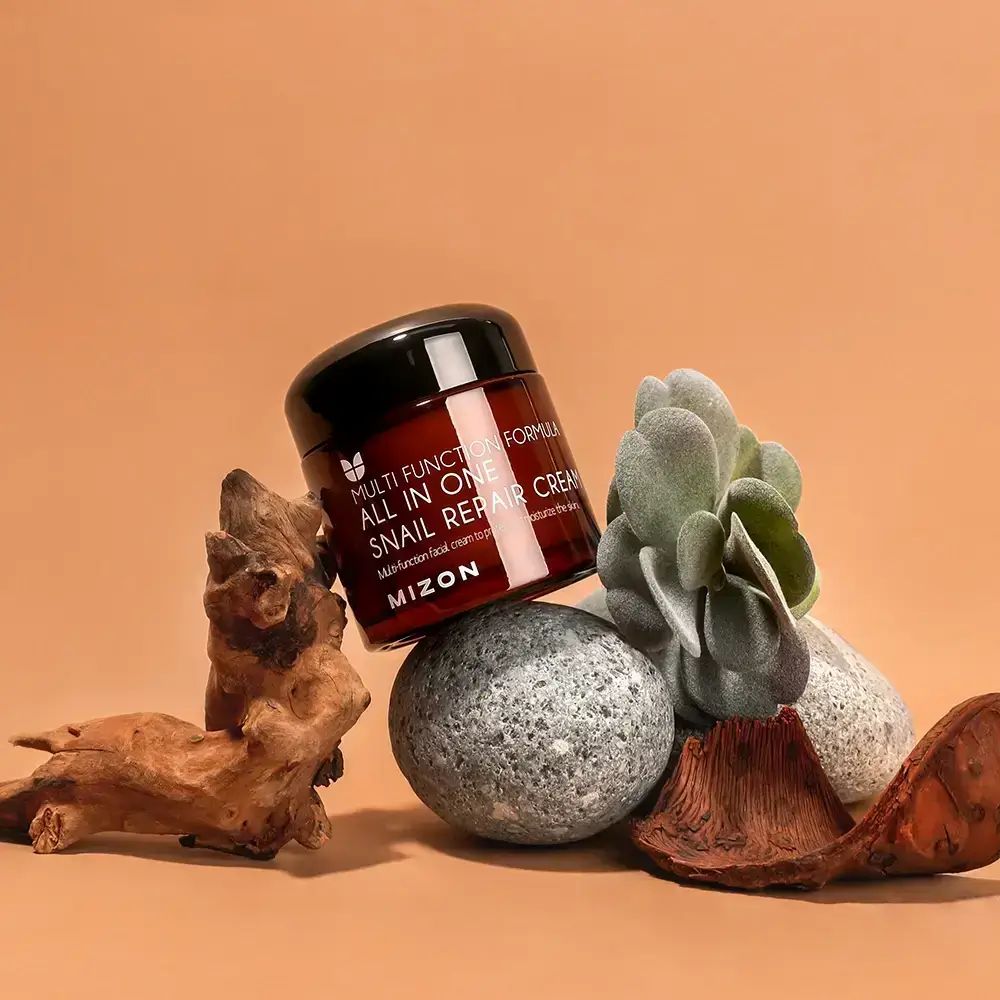 Vaso di crema marrone con coperchio nero, testo: MIZON All In One Snail Repair Cream. Su pietre e decorazioni.