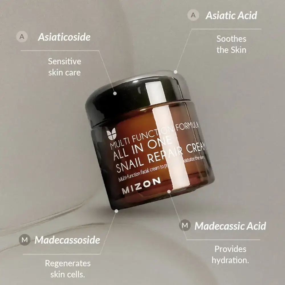 Vaso di crema marrone con testo: MIZON All In One Snail Repair Cream. Iscrizioni: Asiatic Acid, Madecassosid, ecc.