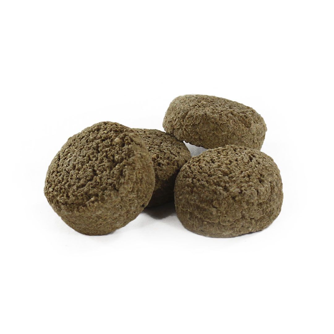 PERRO Taler agnello e riso – monoproteico per cani