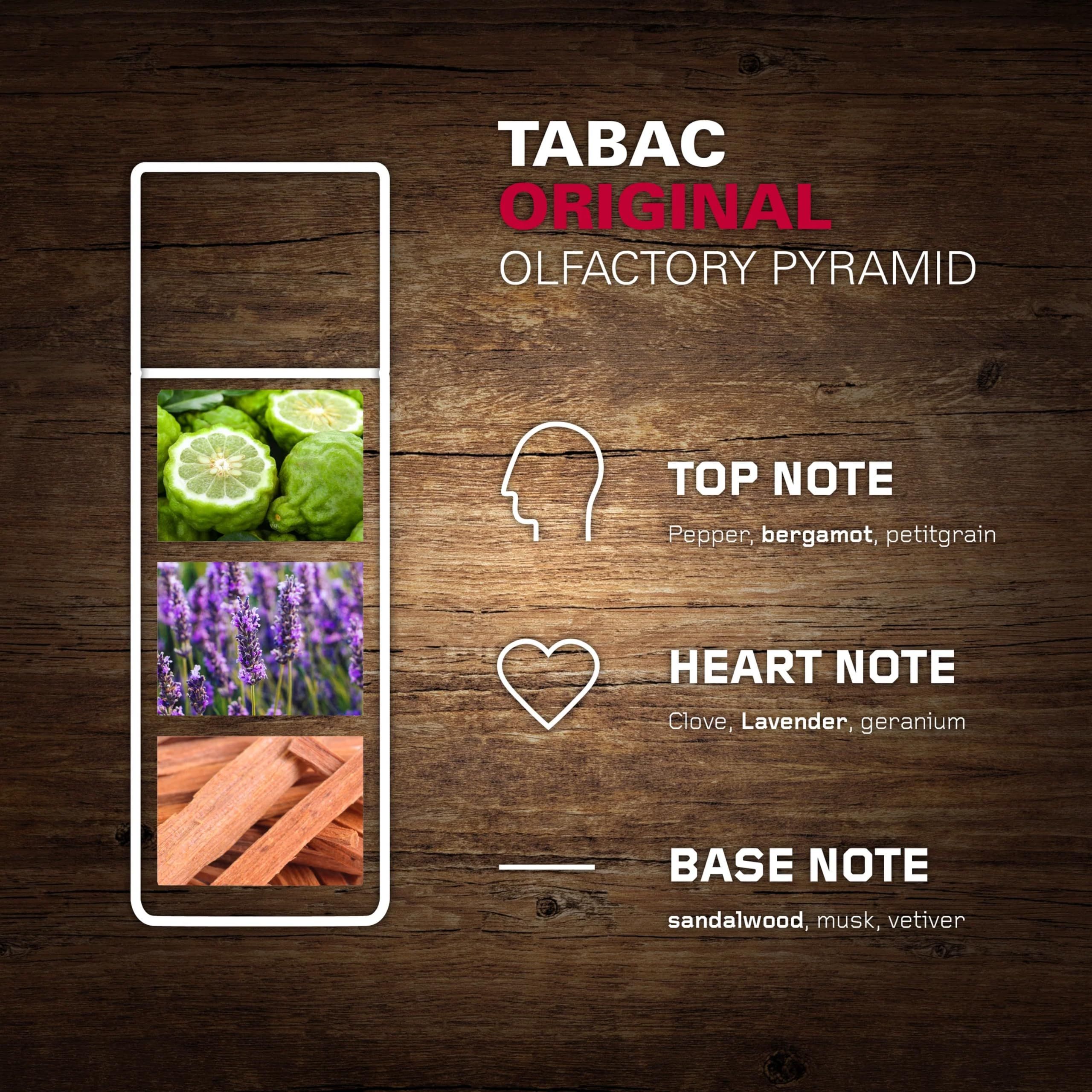 Piramide olfattiva Tabac Original. Illustrazione con ingredienti: bergamotto, lavanda, legno di sandalo. Testo: note di testa, cuore, fondo.