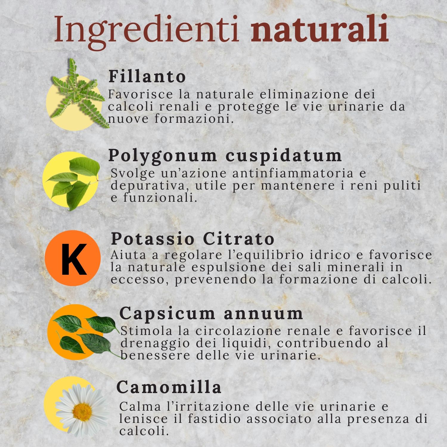 Wellvit | Tekovit, Spaccapietre, Integratore per Calcoli Renali, Drenaggio Liquidi