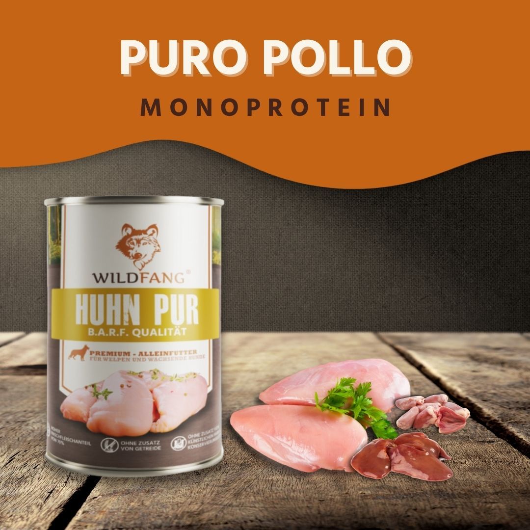 Lattina di cibo per cani con Pollo Pur. Accanto, carne di pollo e frattaglie.