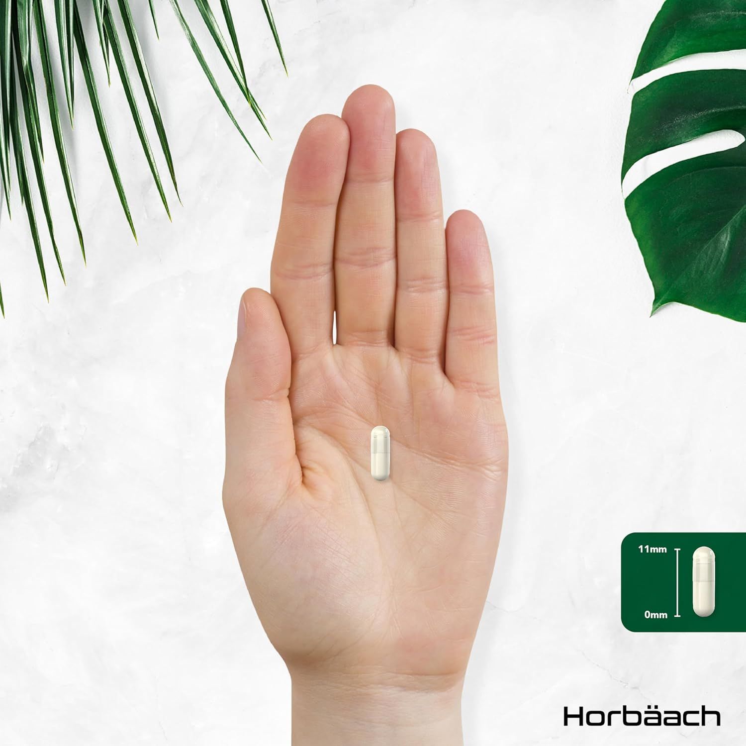 Una capsula in una mano. Capsula: bianca, oblunga. Dimensioni: 11mm di lunghezza, 0mm di larghezza.