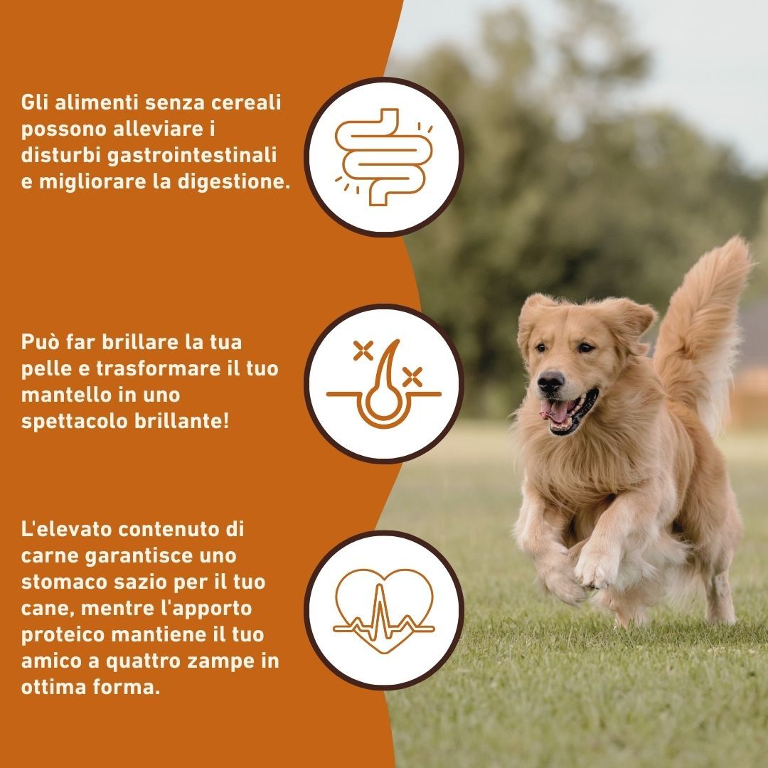 Un cane corre in un campo. Testo: Gli alimenti senza cereali possono alleviare i disturbi gastrointestinali.