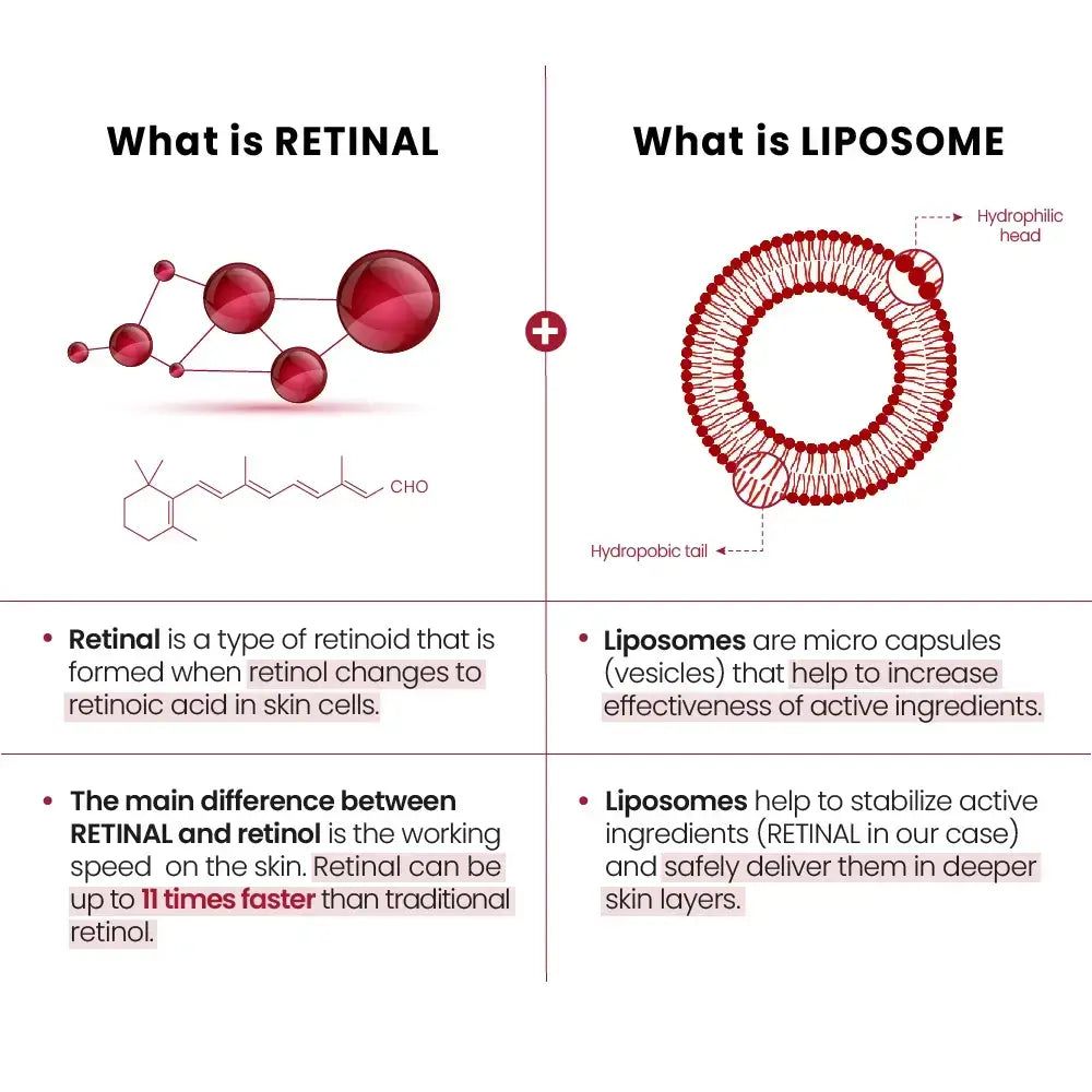 Infografica: Cos'è RETINAL e LIPOSOME. Diagrammi e testo. RETINAL: Retinoide che si trasforma in acido retinoico. LIPOSOME: Microcapsule.