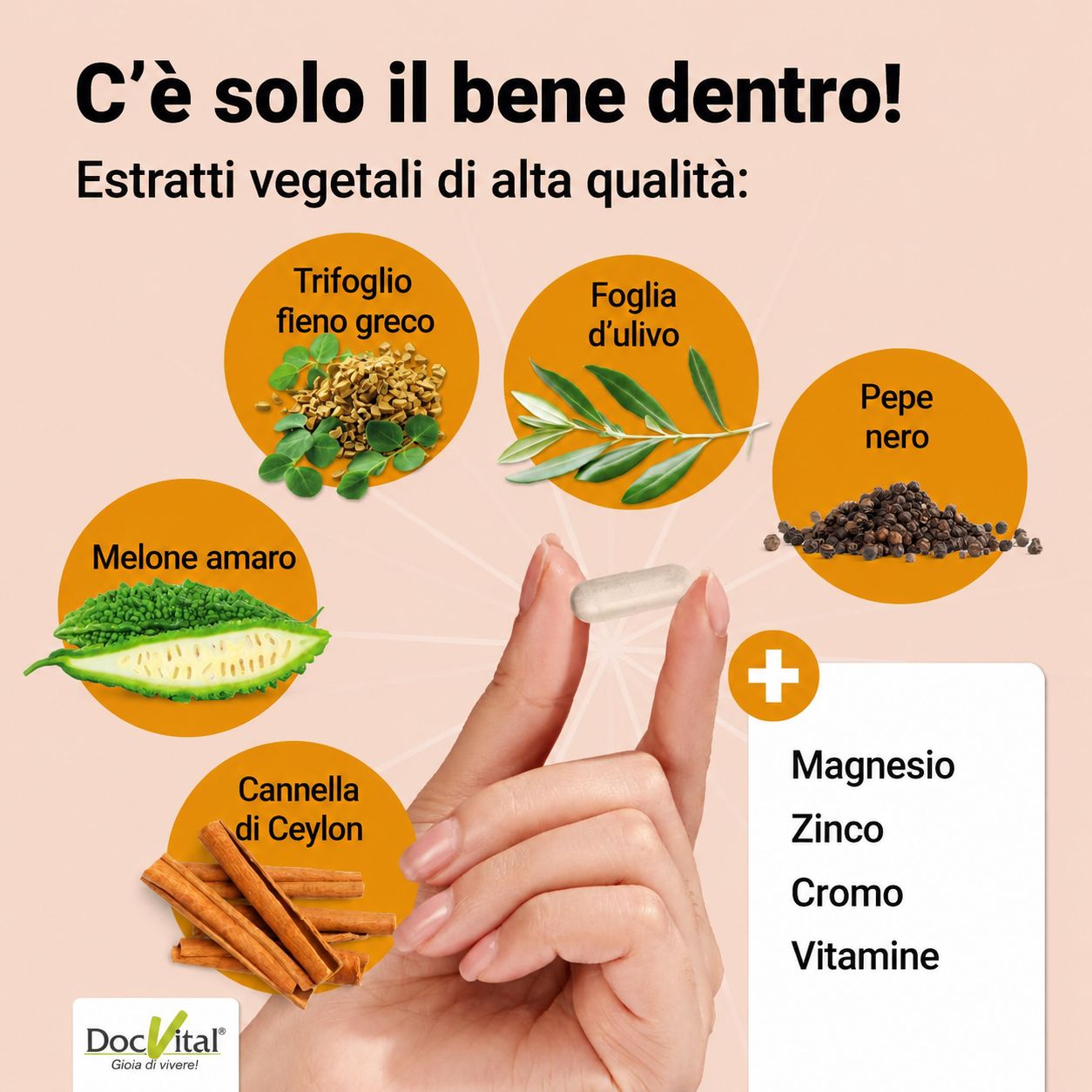 DocVital Capsule Complesso per la glicemia
