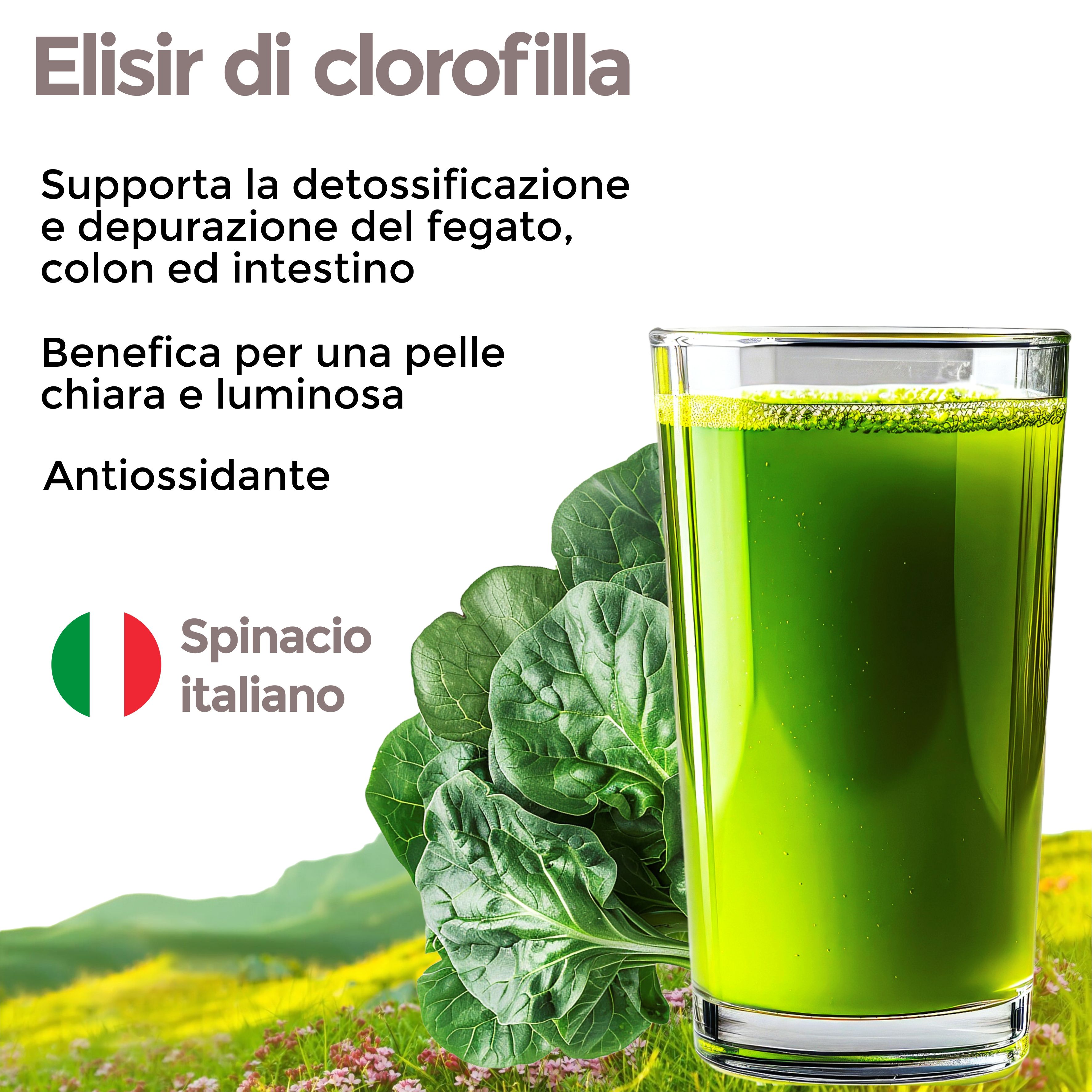 Bicchiere con liquido verde, accanto foglie di spinaci. Testo: 'Elisir di clorofilla' e 'Spinaci italiani'.