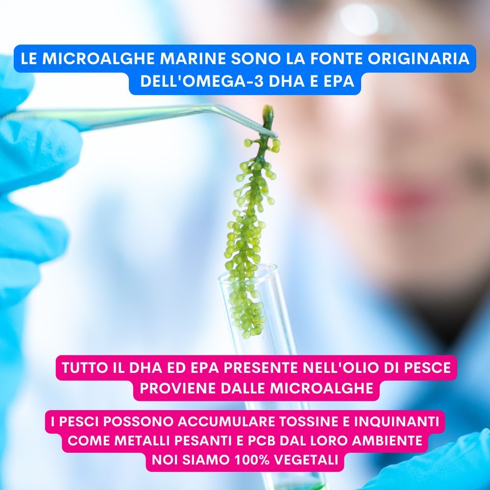 JAMPY Olio Vegetale per Cani The Smart Omega